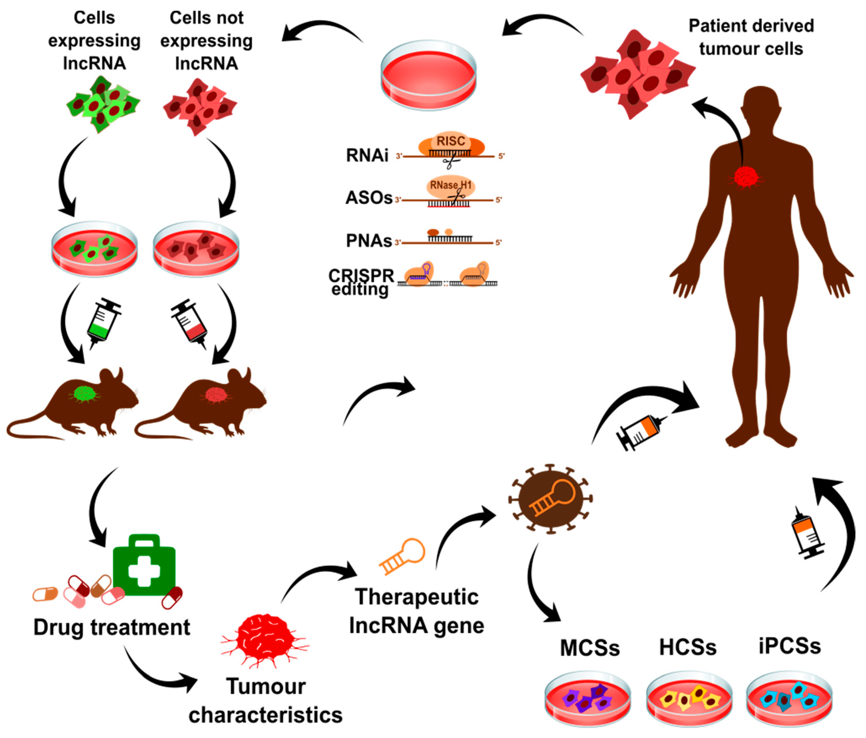 Cancers 13 02643 g006