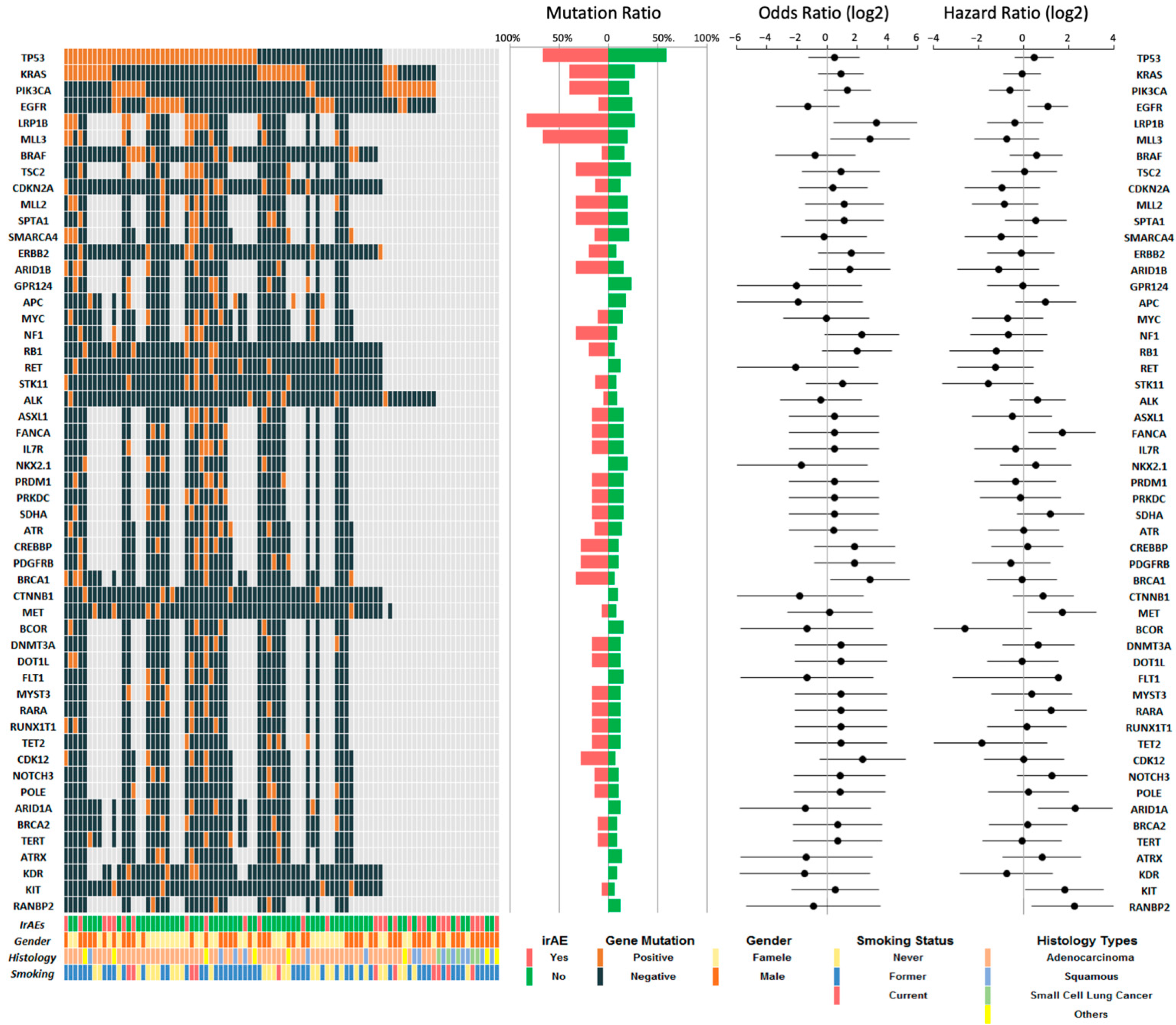 Cancers 13 02653 g001