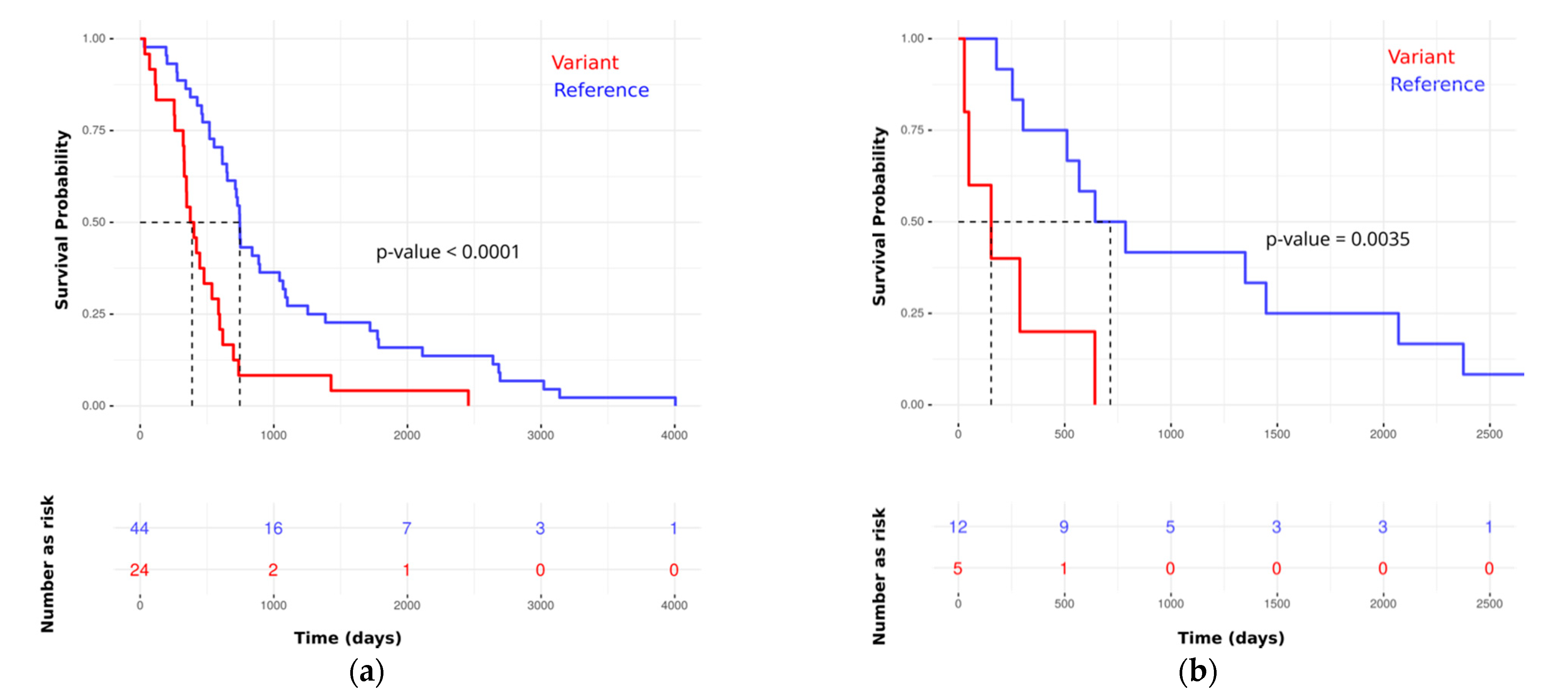 Cancers 13 02654 g005
