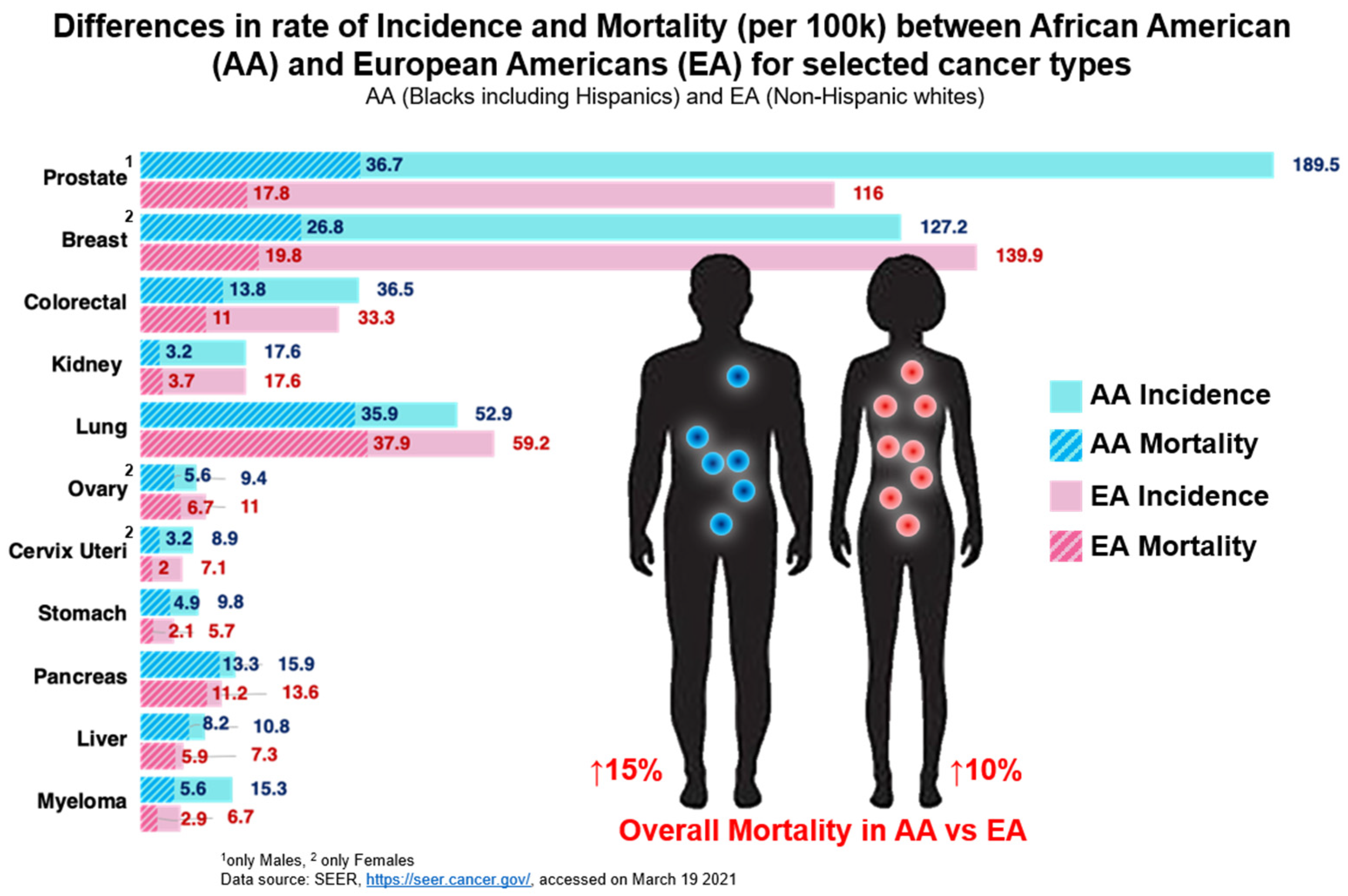 Cancers 13 02656 g001