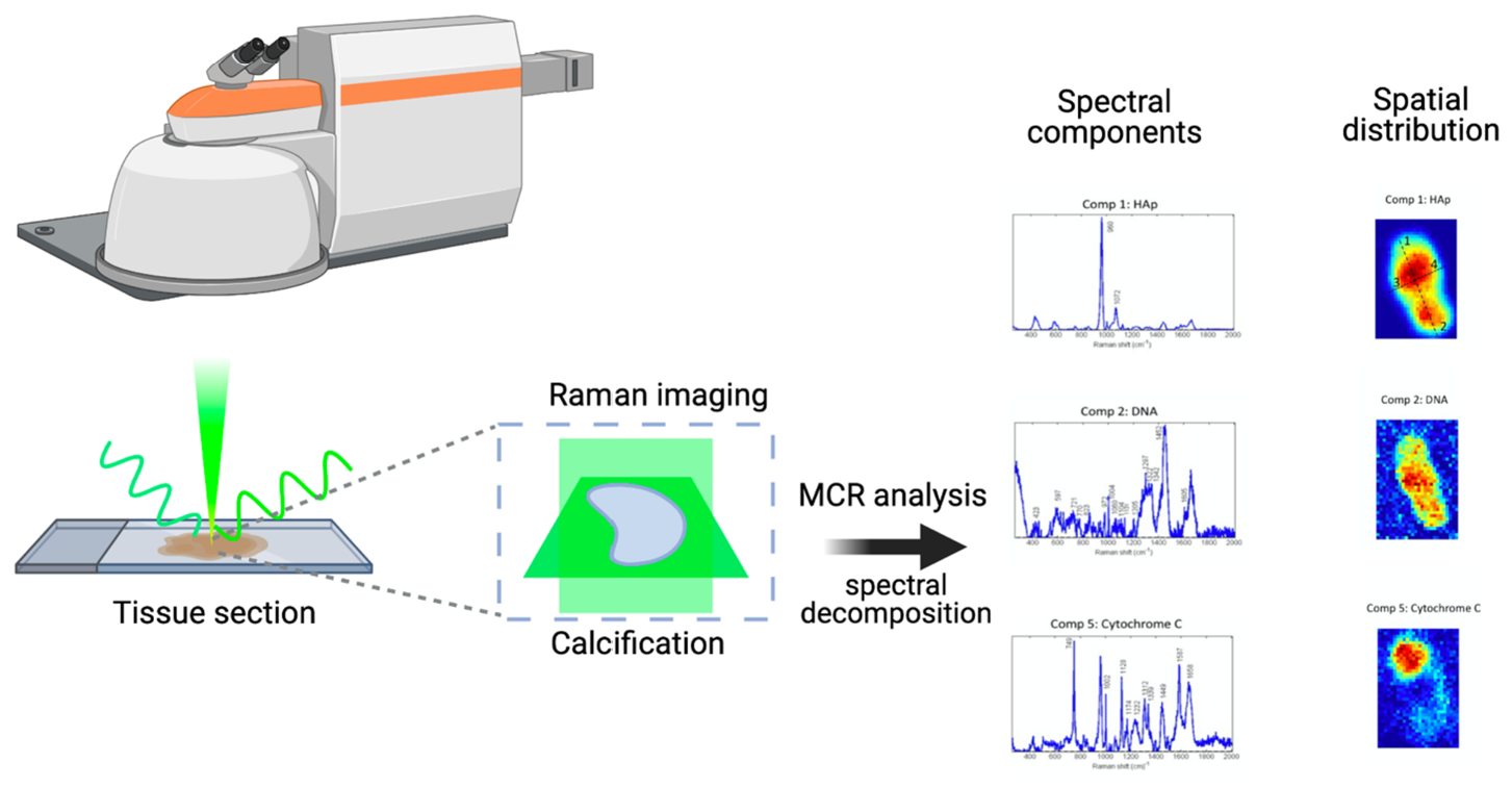 Cancers 13 02658 g001 Cancers 13 02658 g001