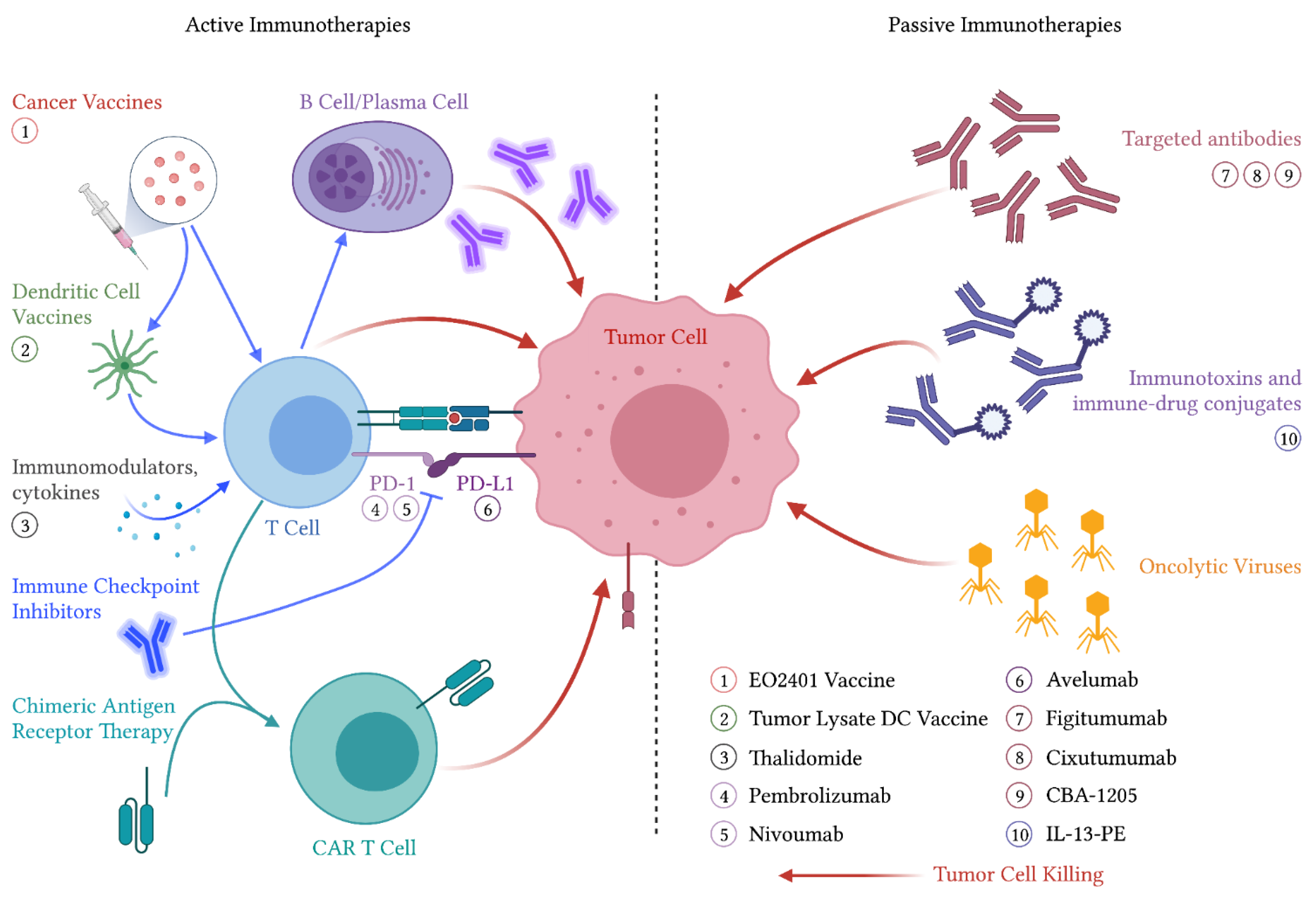 Cancers 13 02660 g001