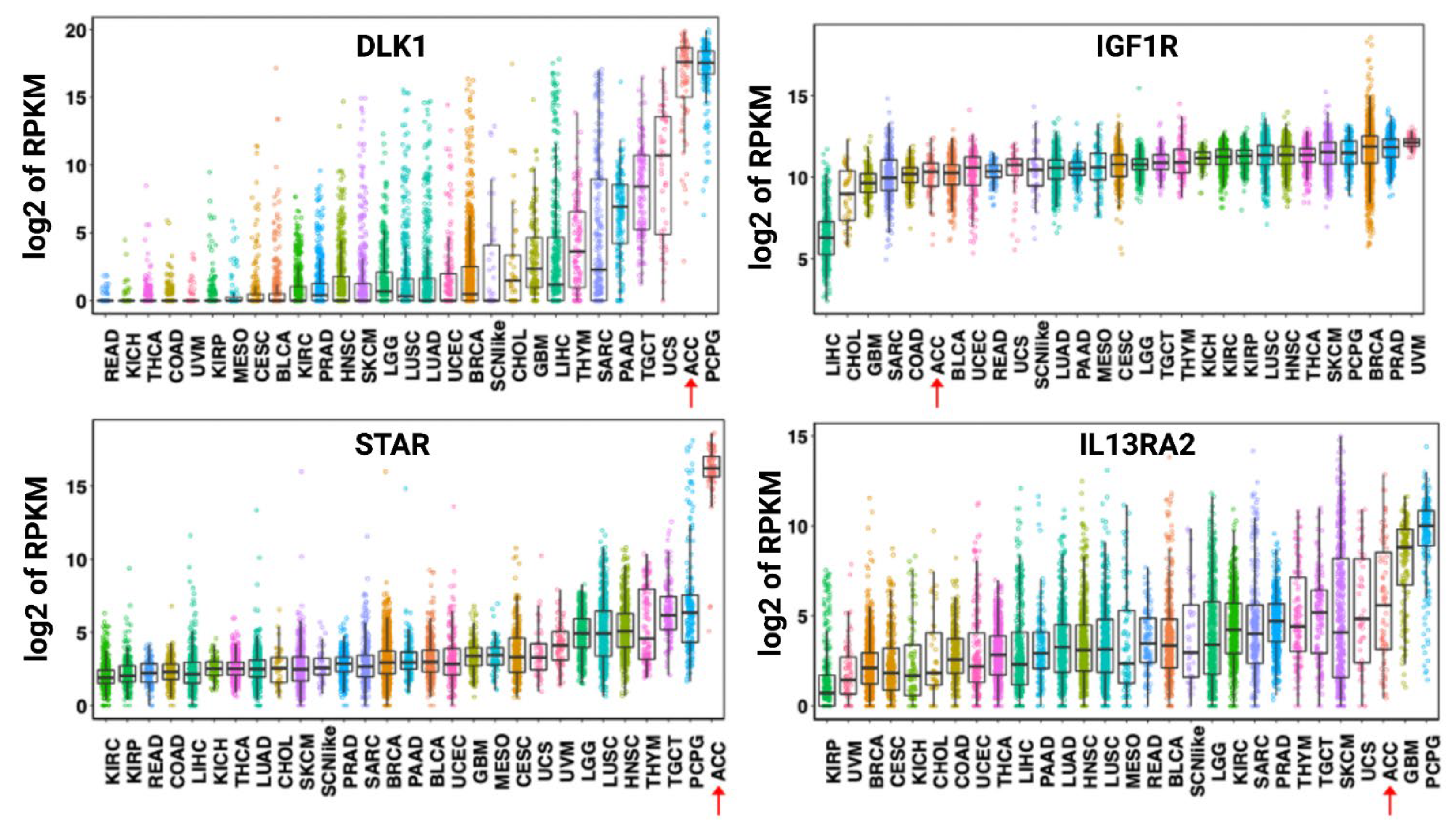 Cancers 13 02660 g002
