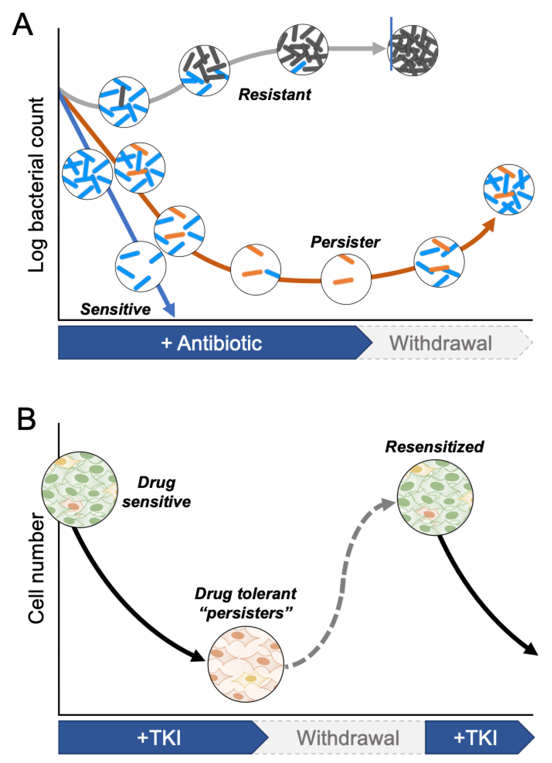 Cancers 13 02666 g002 Cancers 13 02666 g002