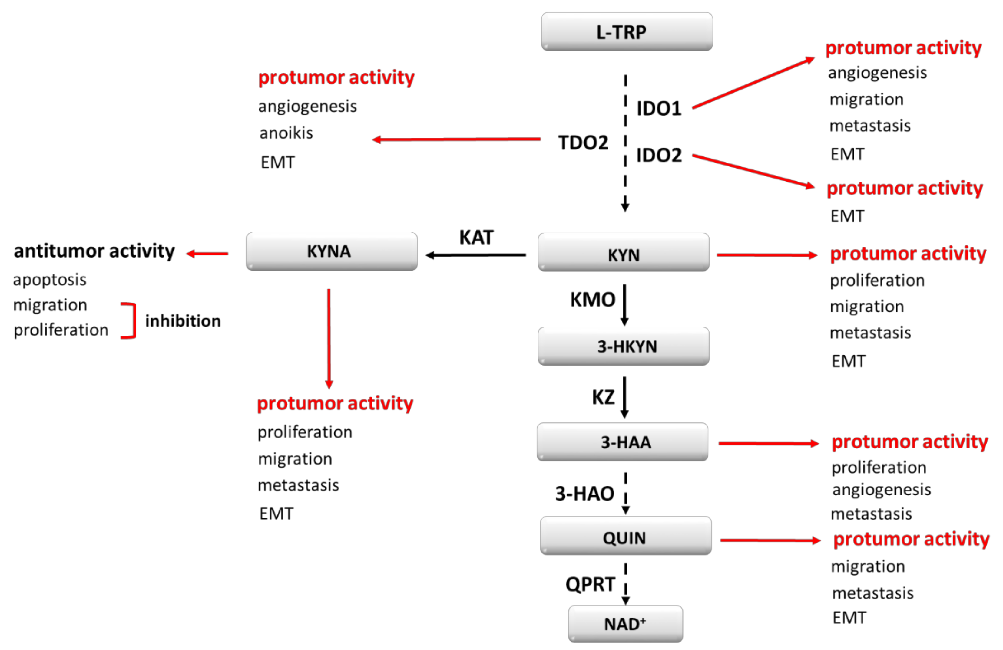 Cancers 13 02667 g001