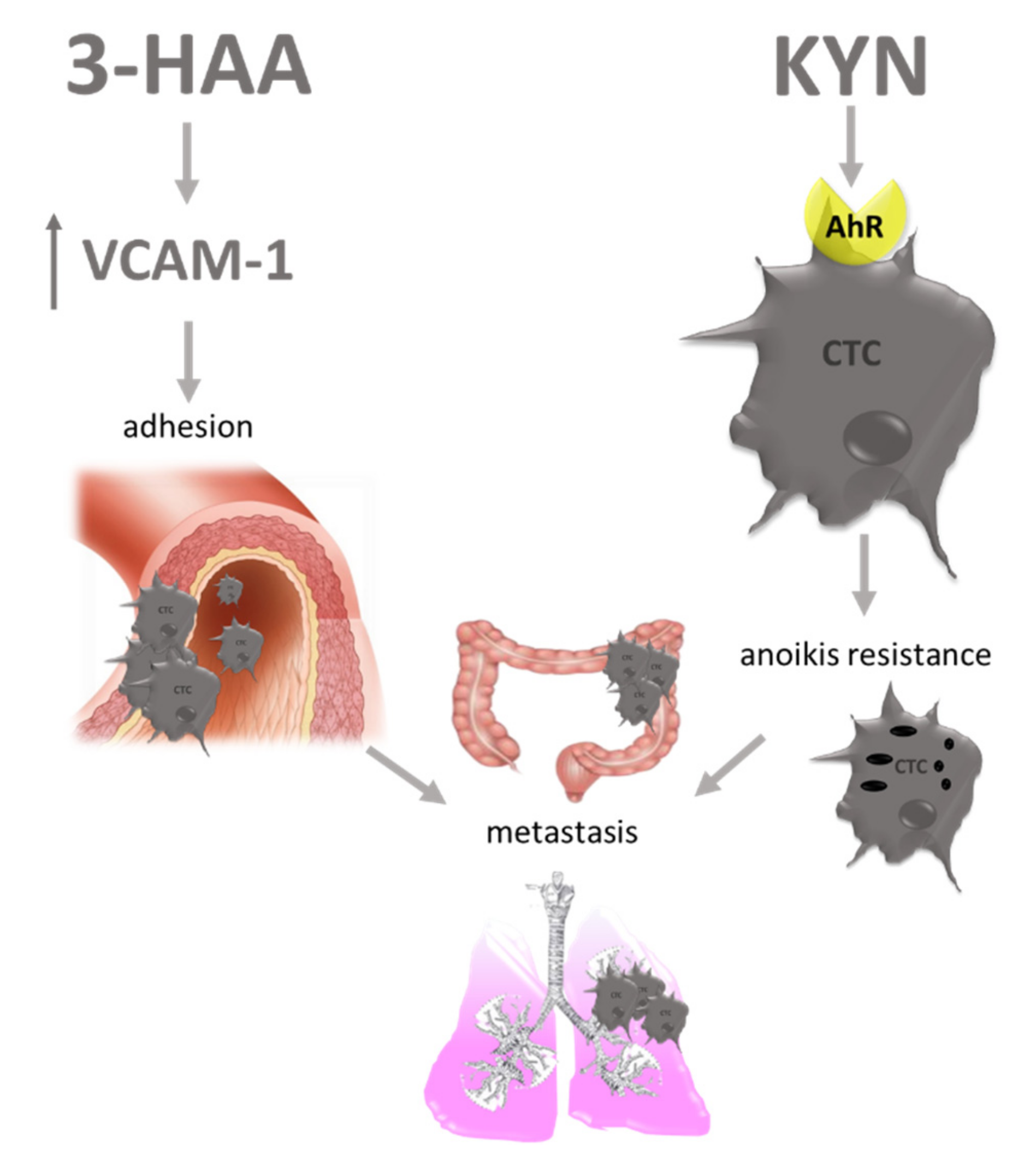 Cancers 13 02667 g003