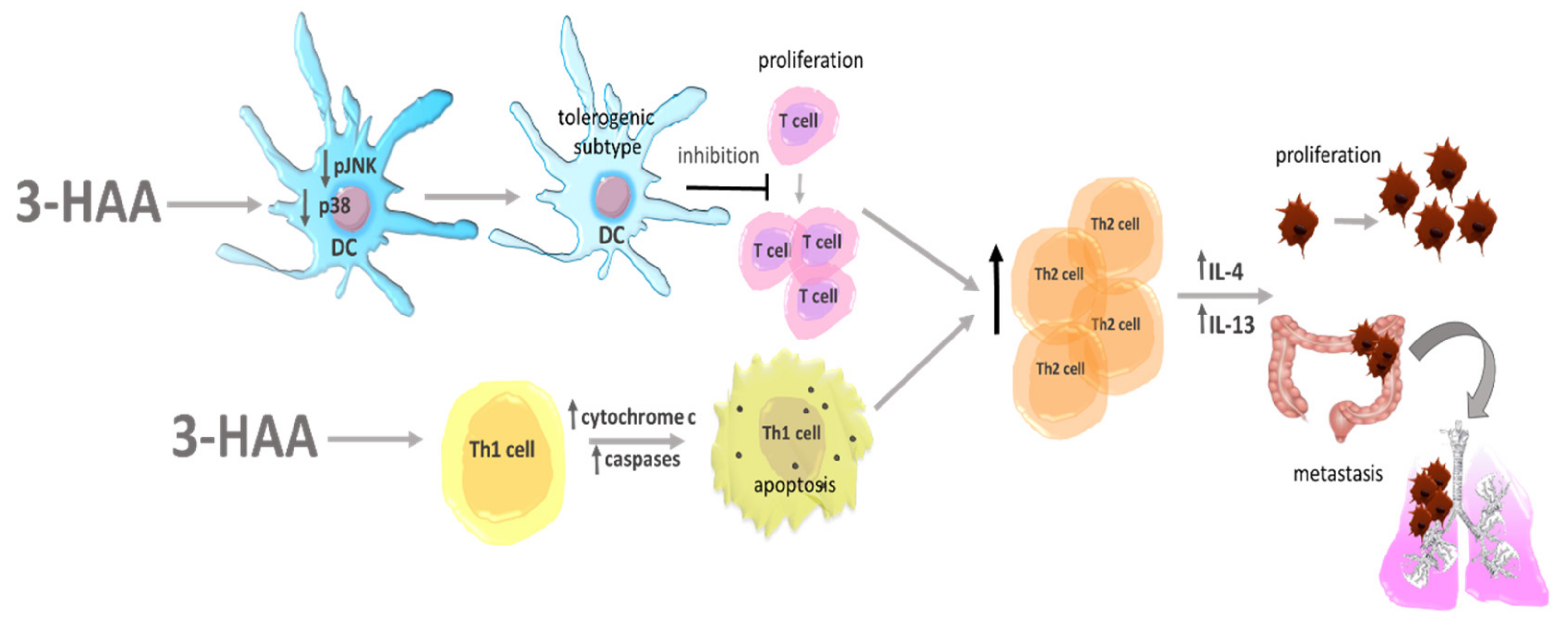 Cancers 13 02667 g006