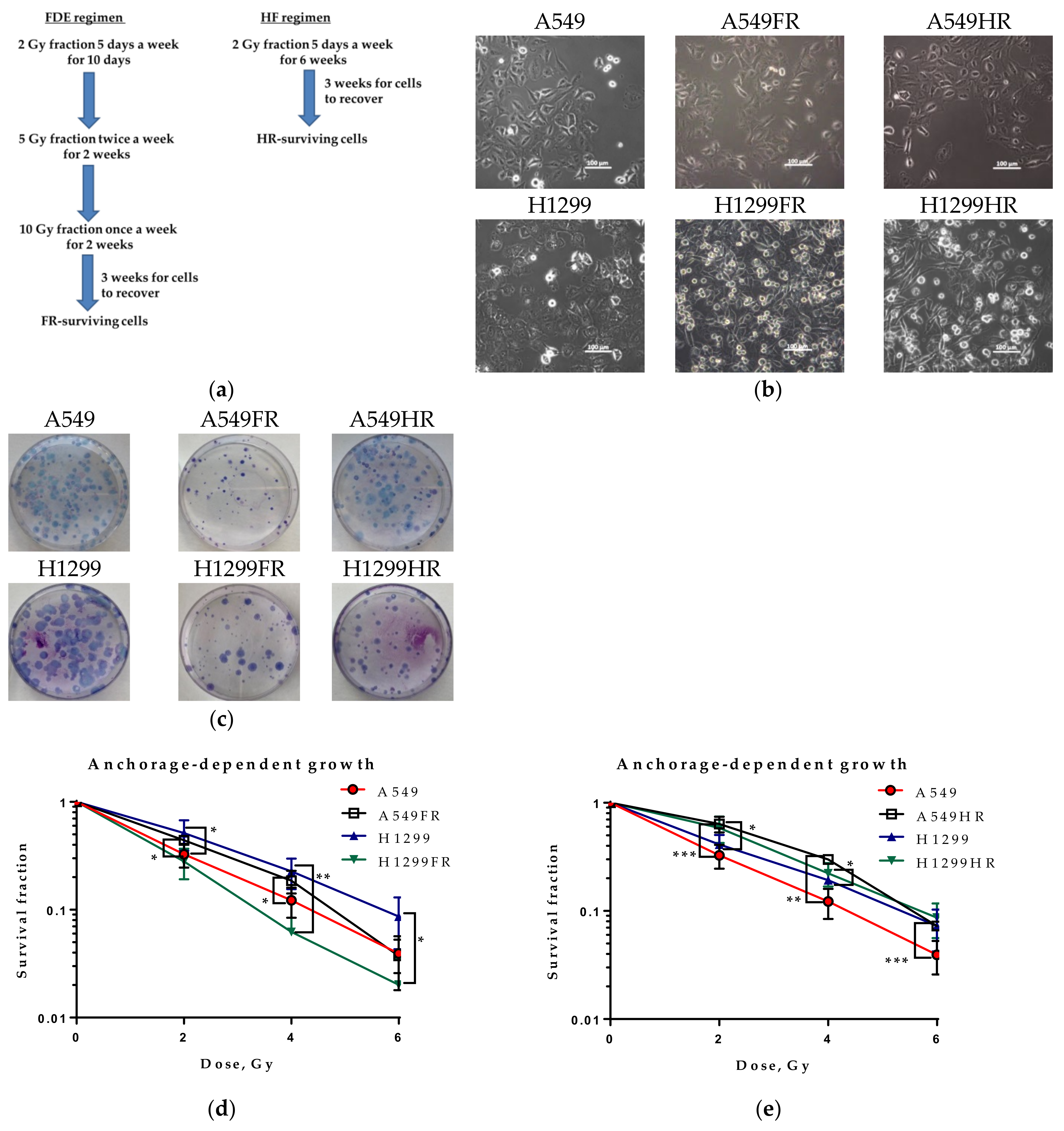 Cancers 13 02669 g001