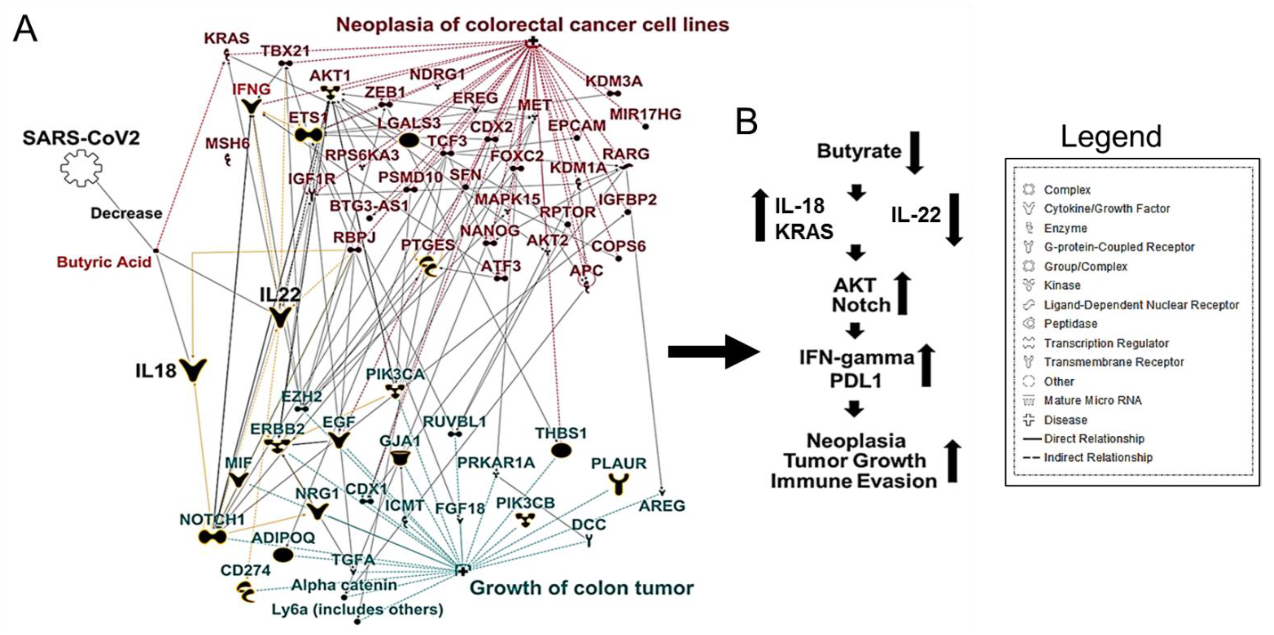 Cancers 13 02676 g001