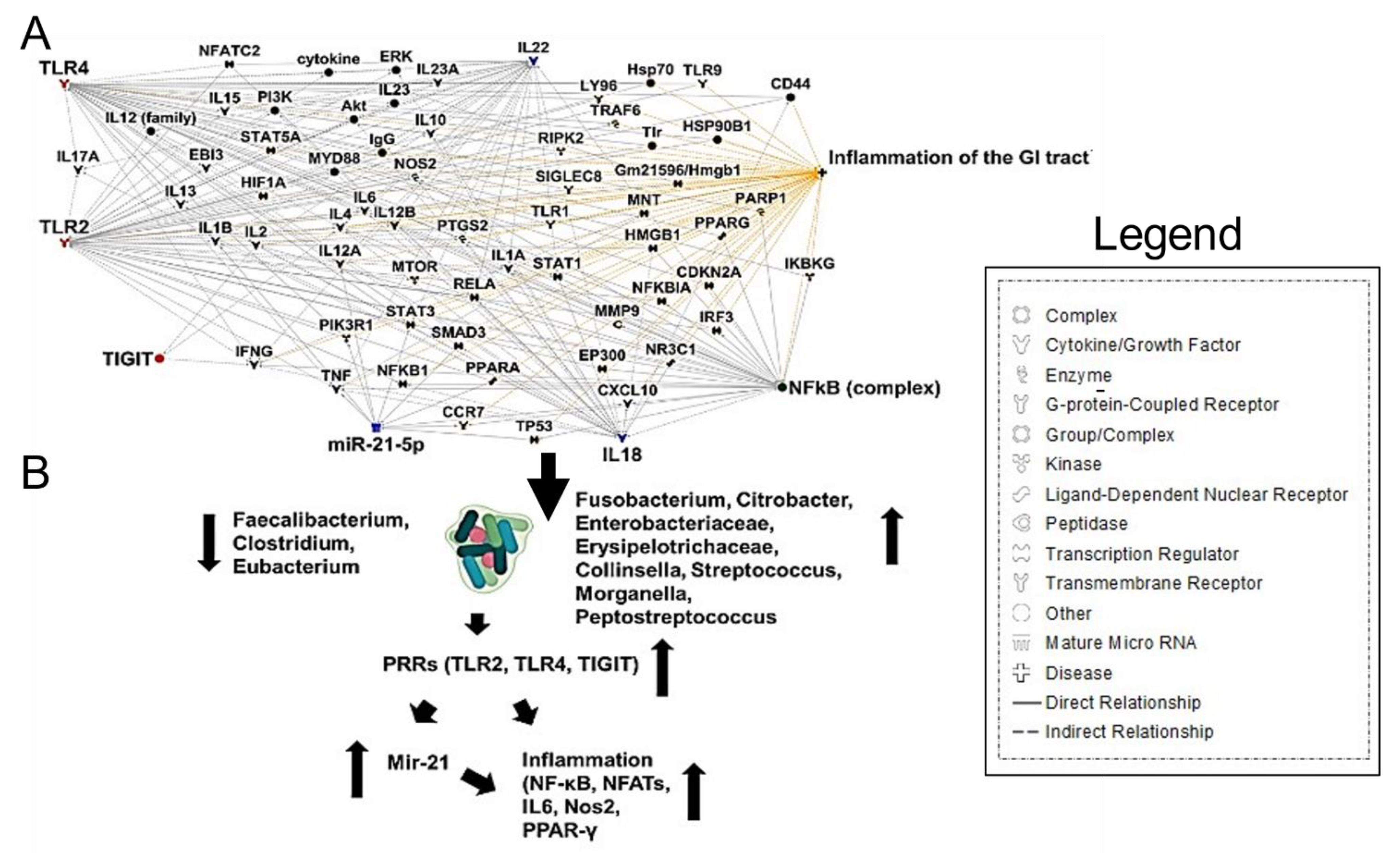 Cancers 13 02676 g004