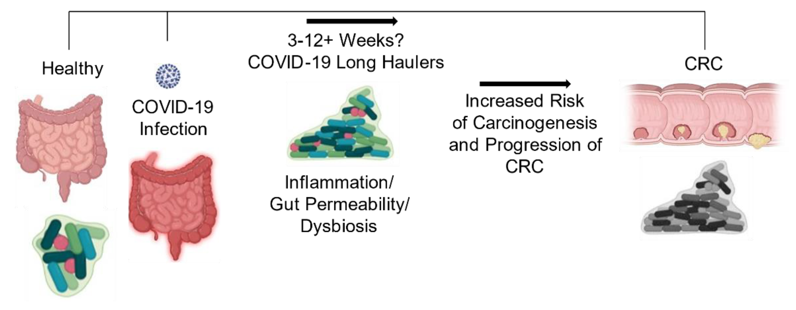 Cancers 13 02676 g005