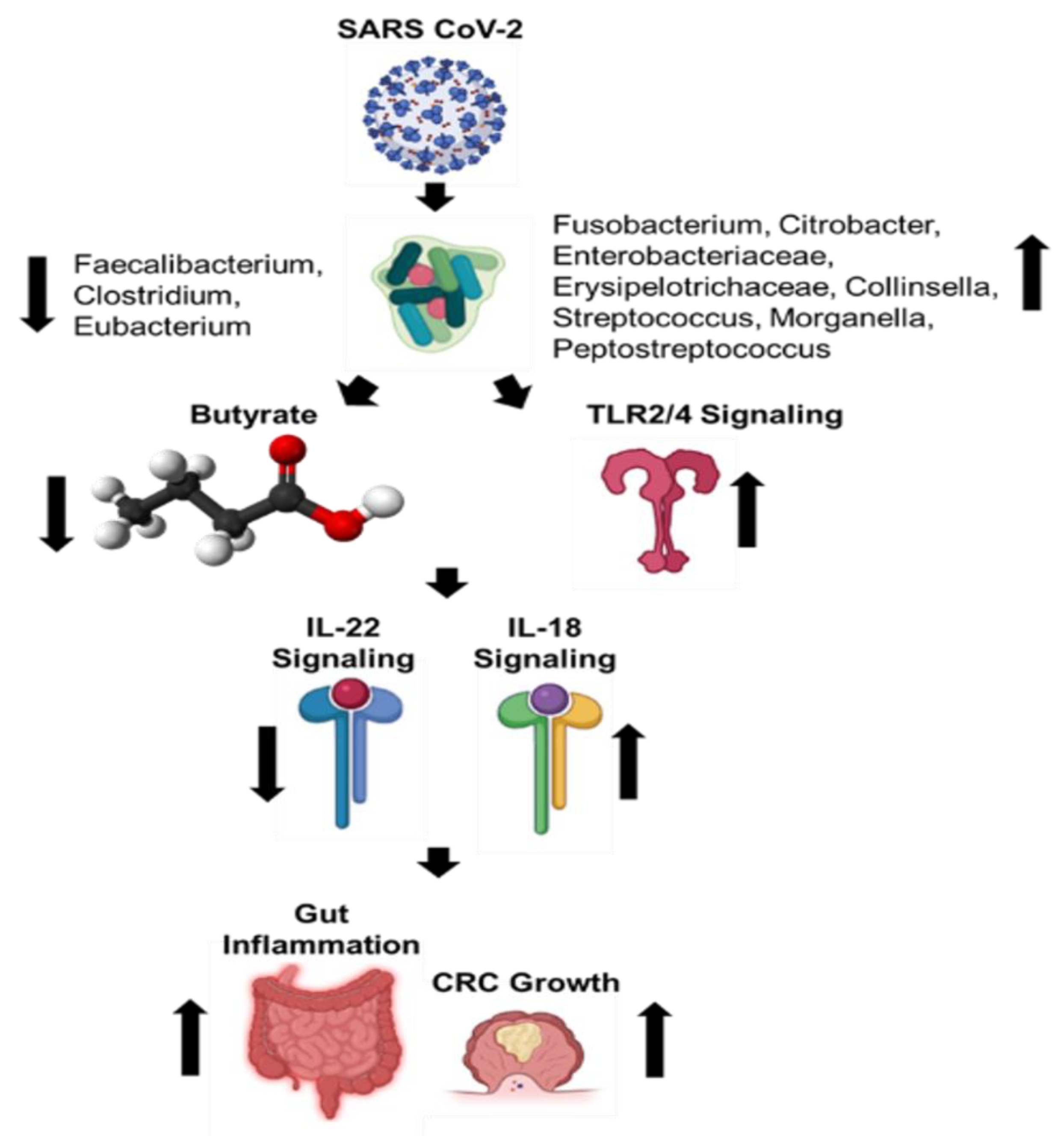 Cancers 13 02676 g006