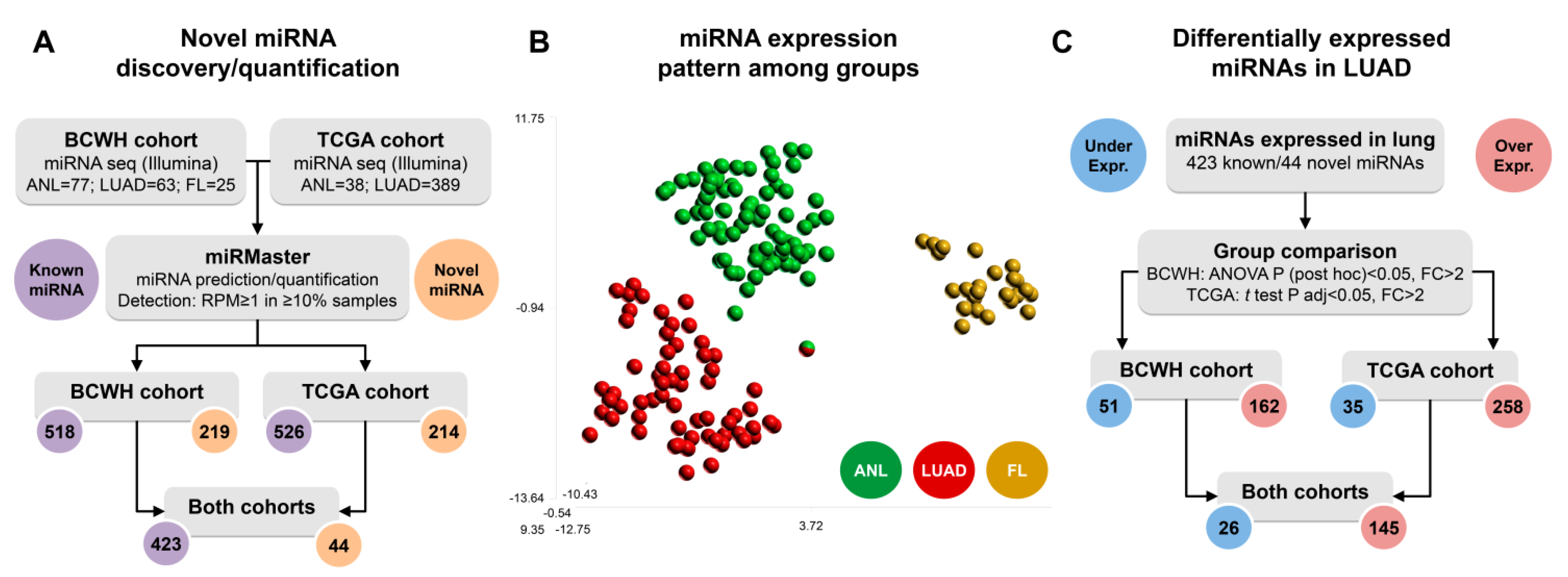 Cancers 13 02686 g001