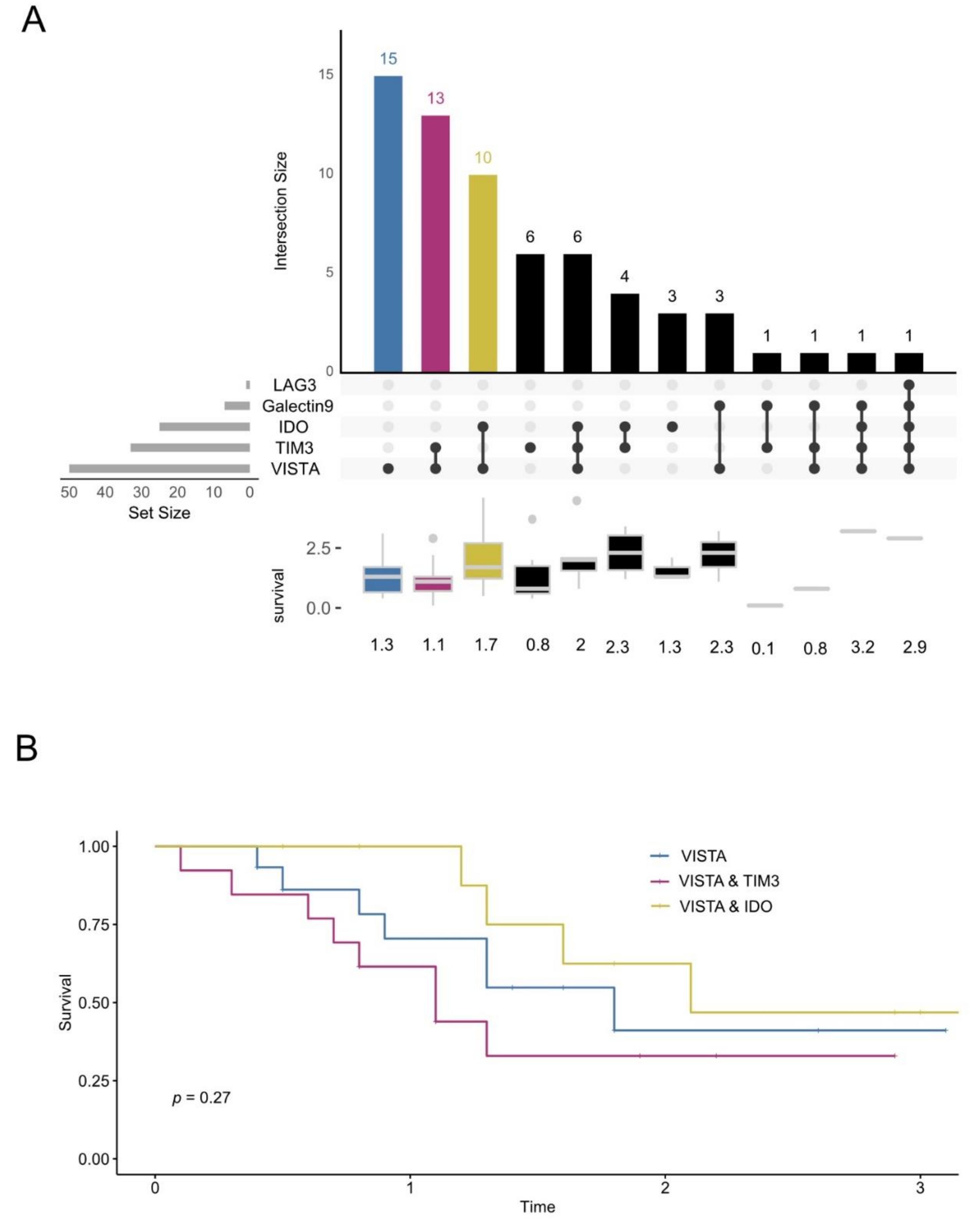 Cancers 13 02689 g004