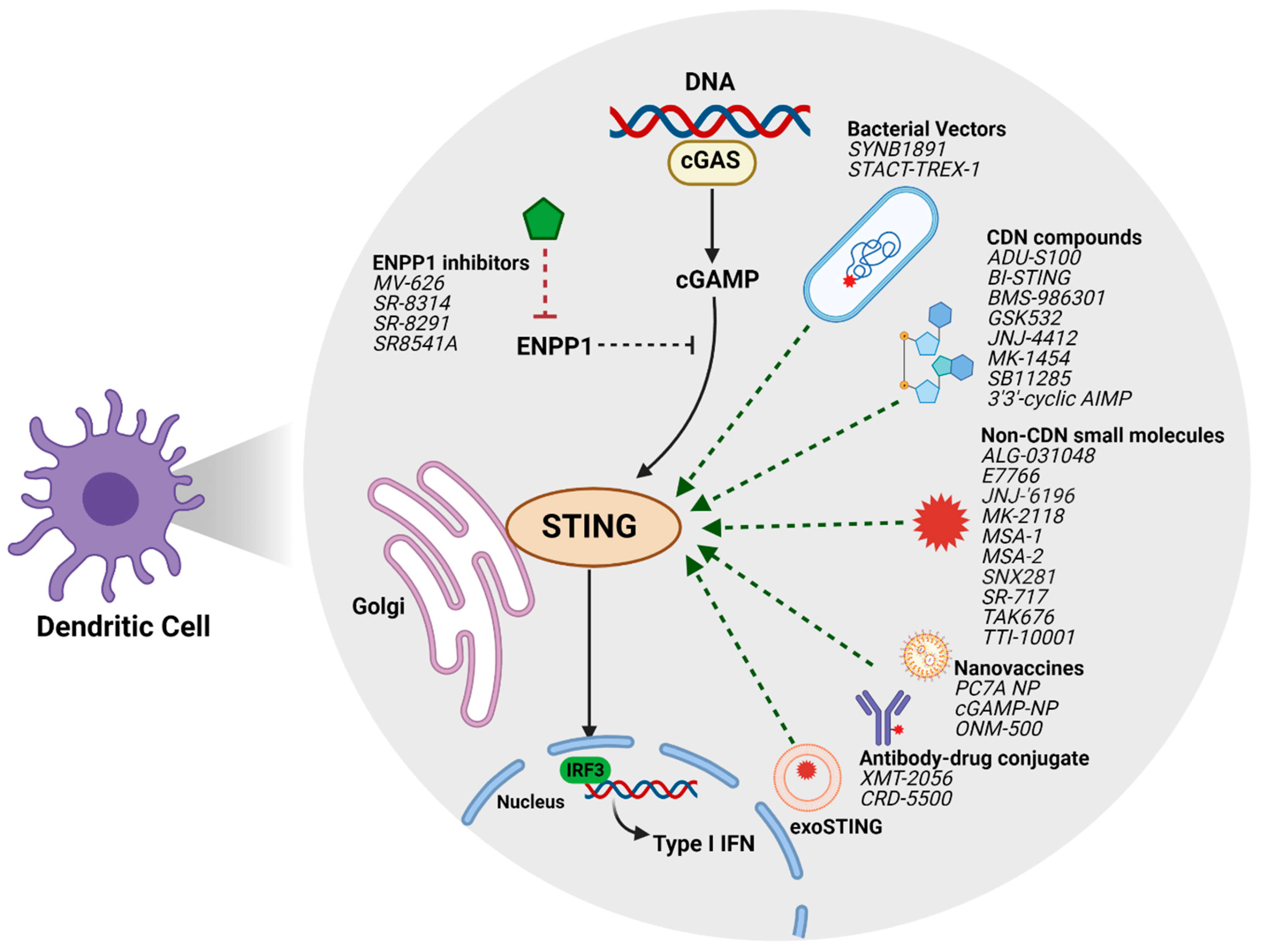 Cancers 13 02695 g001 Cancers 13 02695 g001