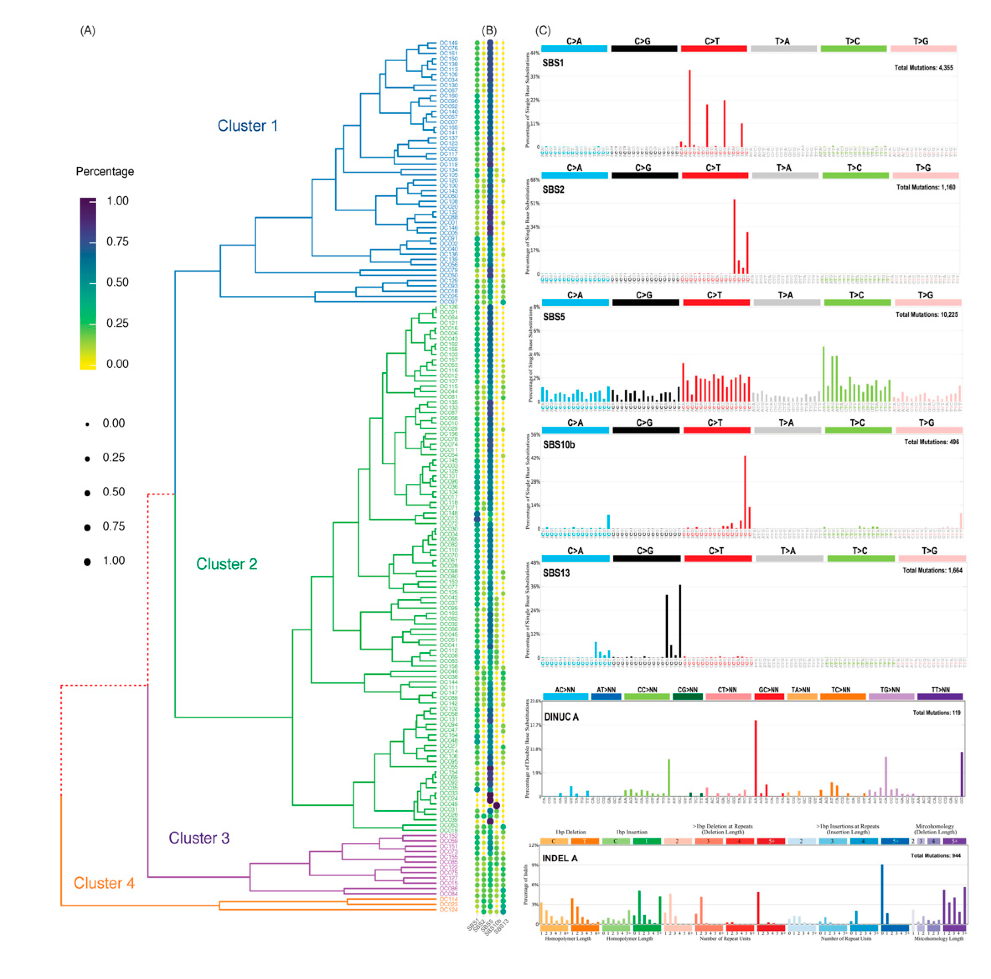 Cancers 13 02709 g001