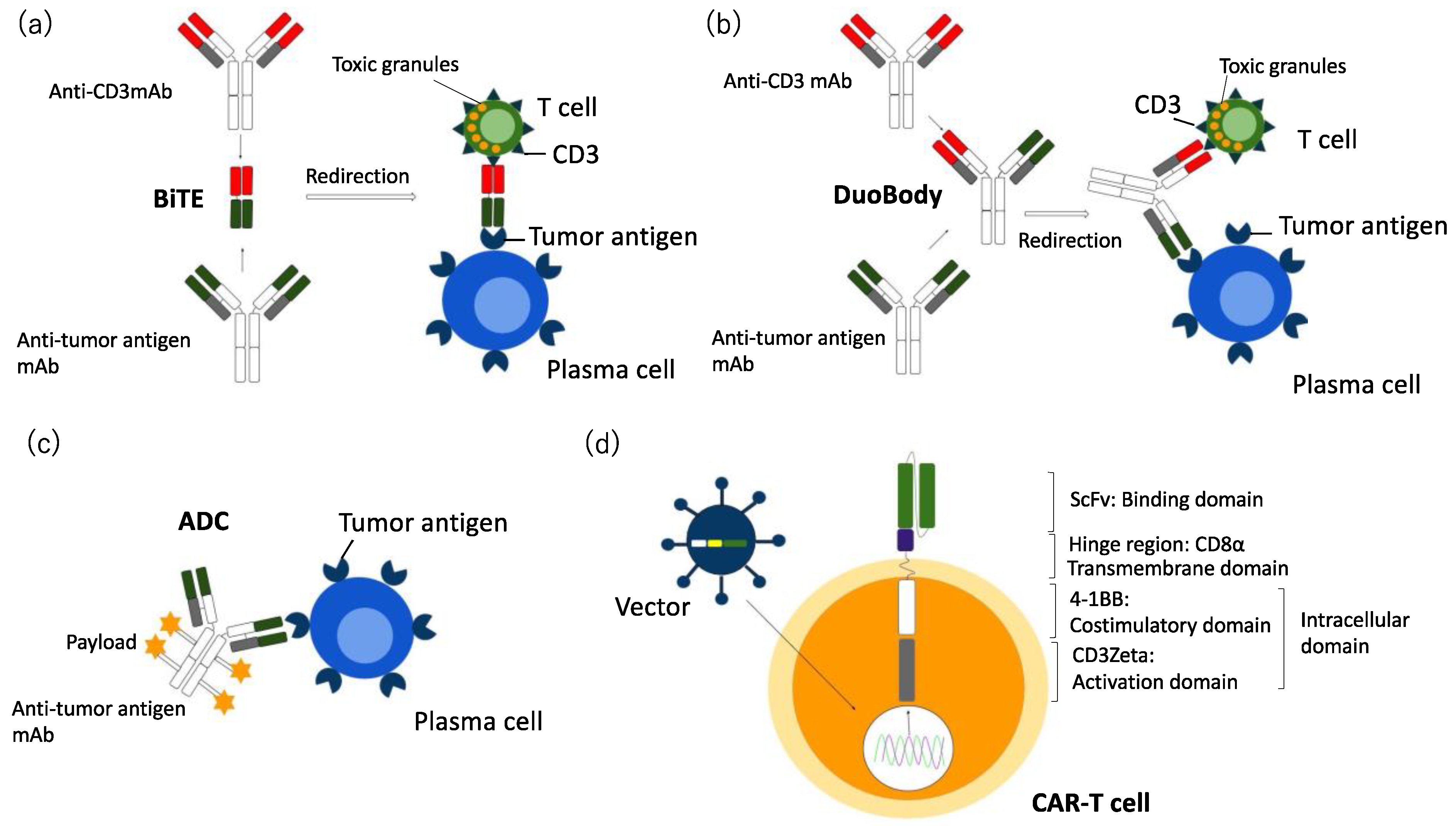 Cancers 13 02712 g002 Cancers 13 02712 g002
