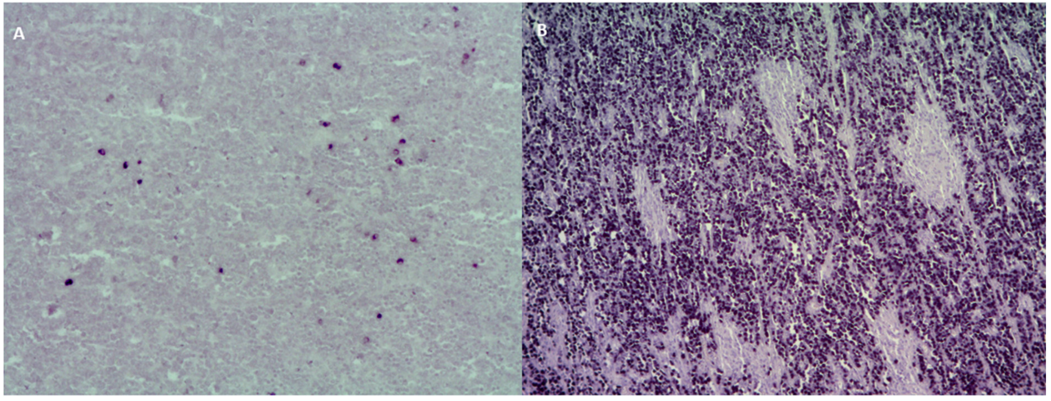 Cancers 13 02717 g001