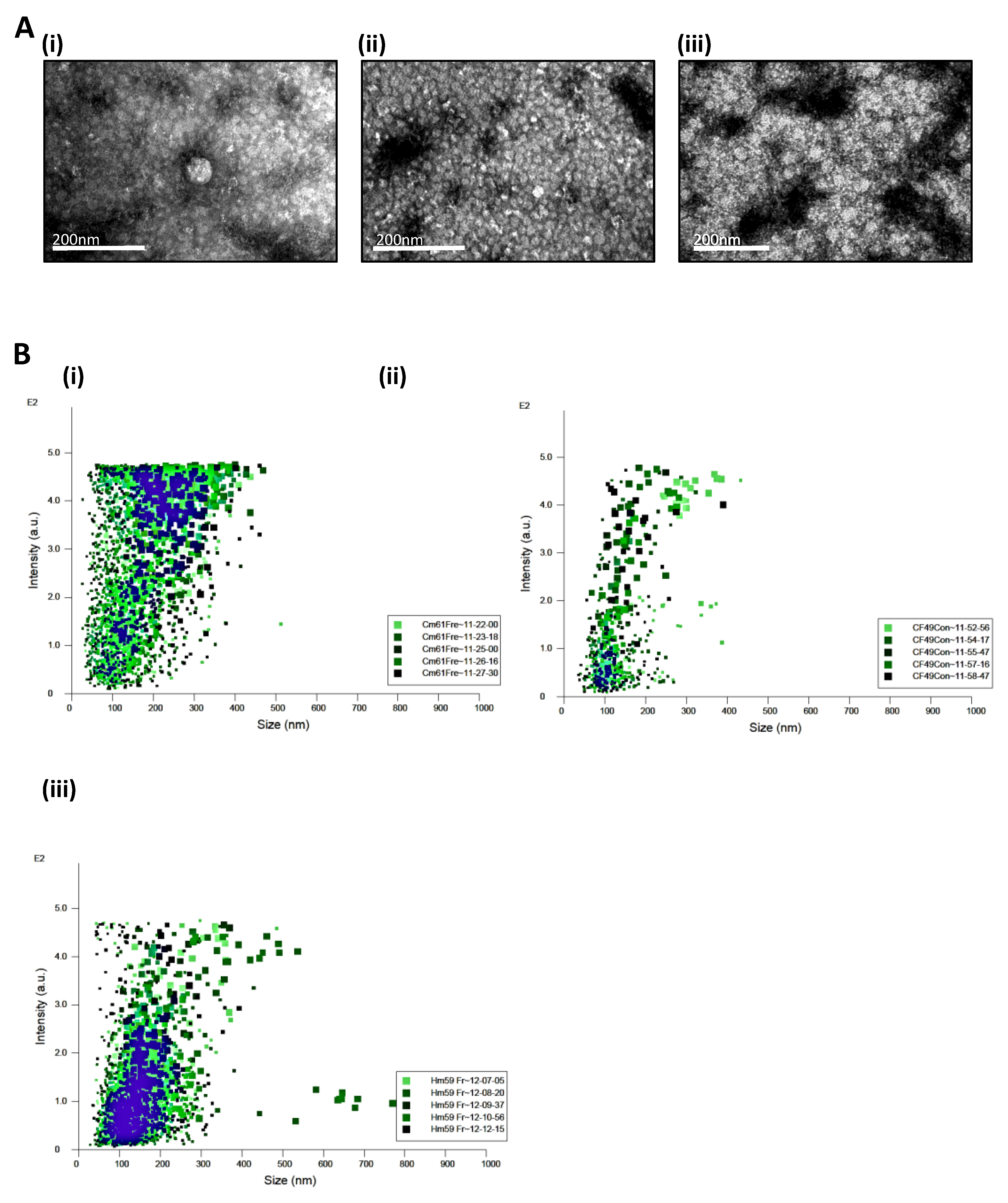 Cancers 13 02727 g001a Cancers 13 02727 g001a