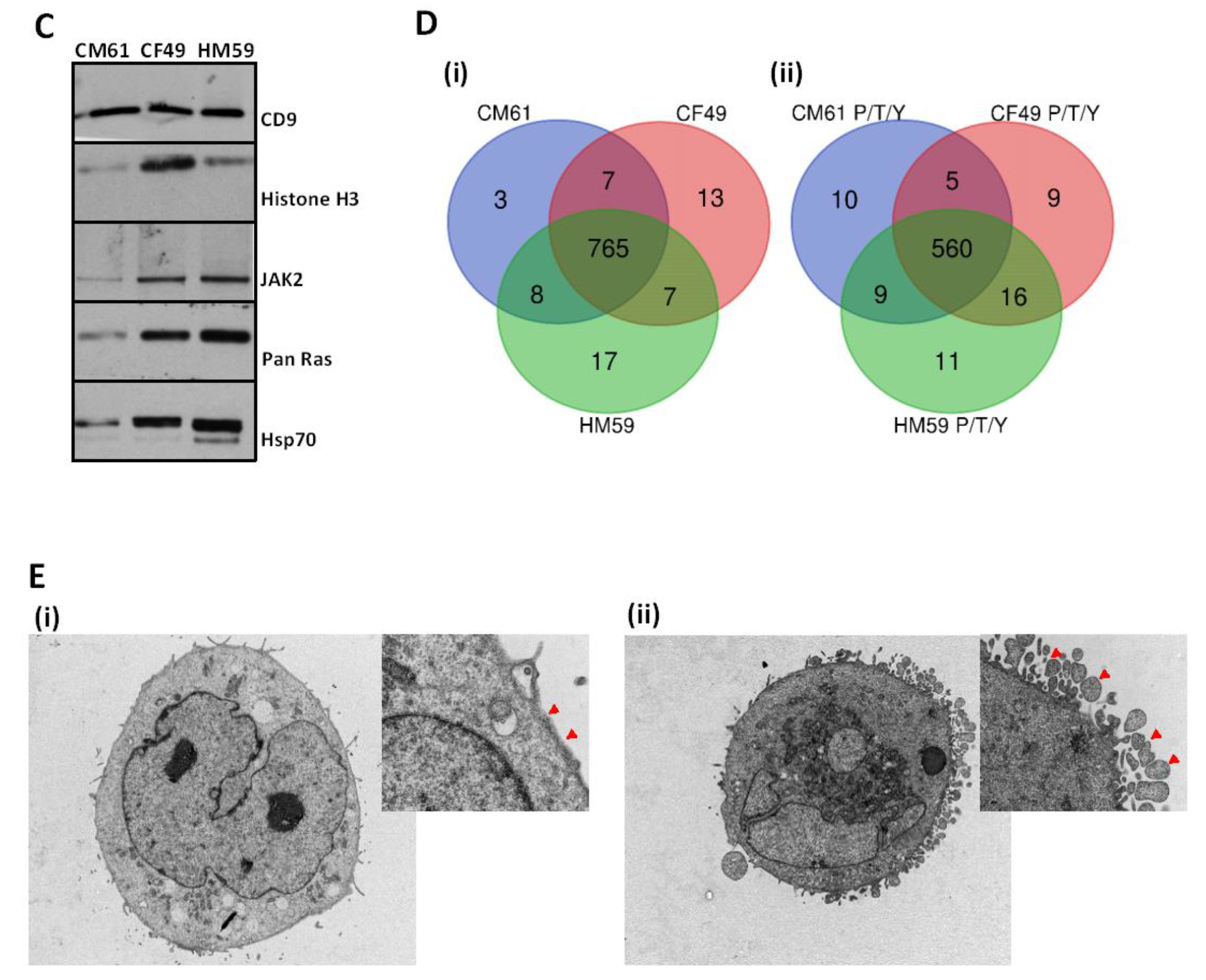 Cancers 13 02727 g001b Cancers 13 02727 g001b