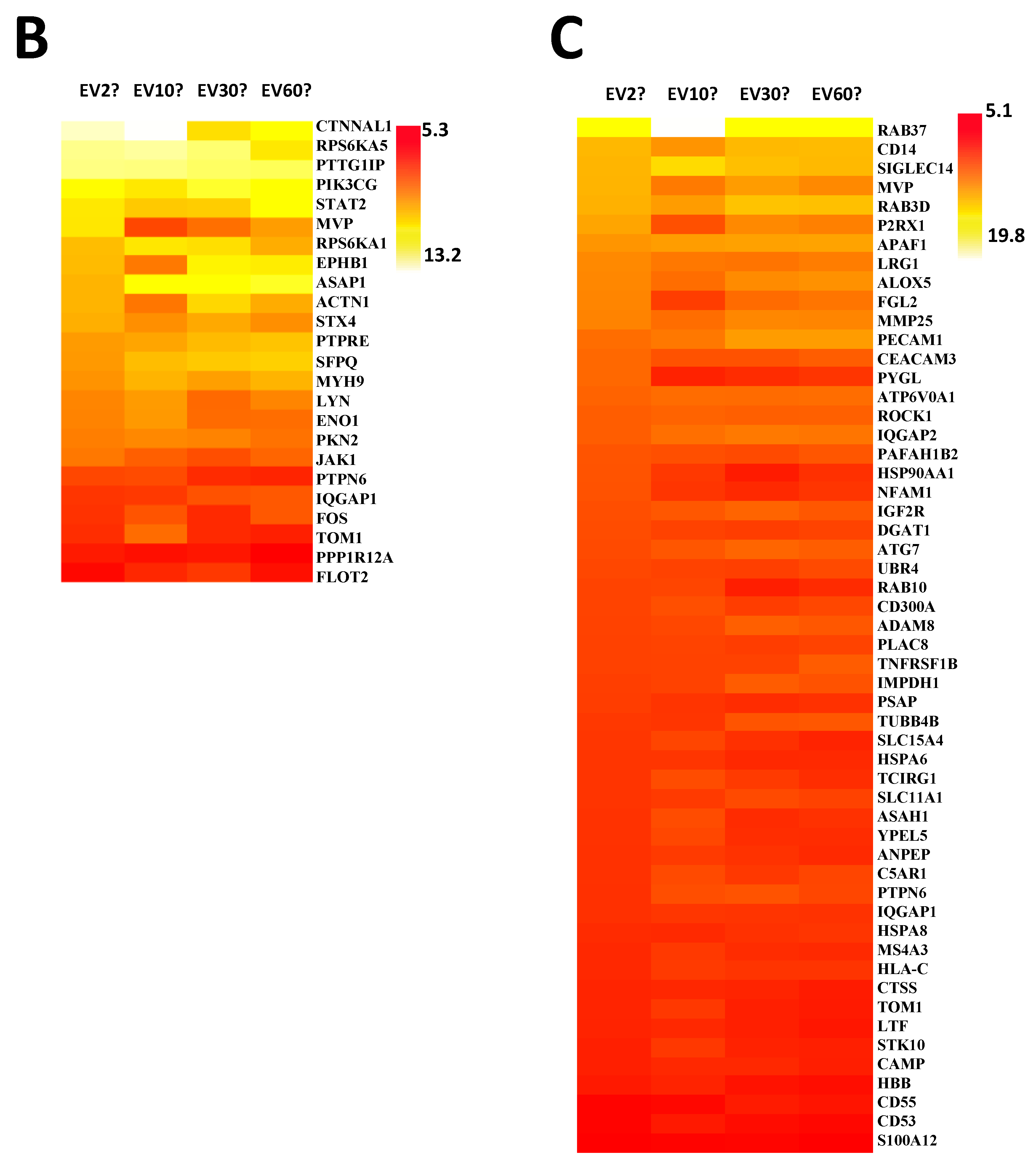 Cancers 13 02727 g003b Cancers 13 02727 g003b