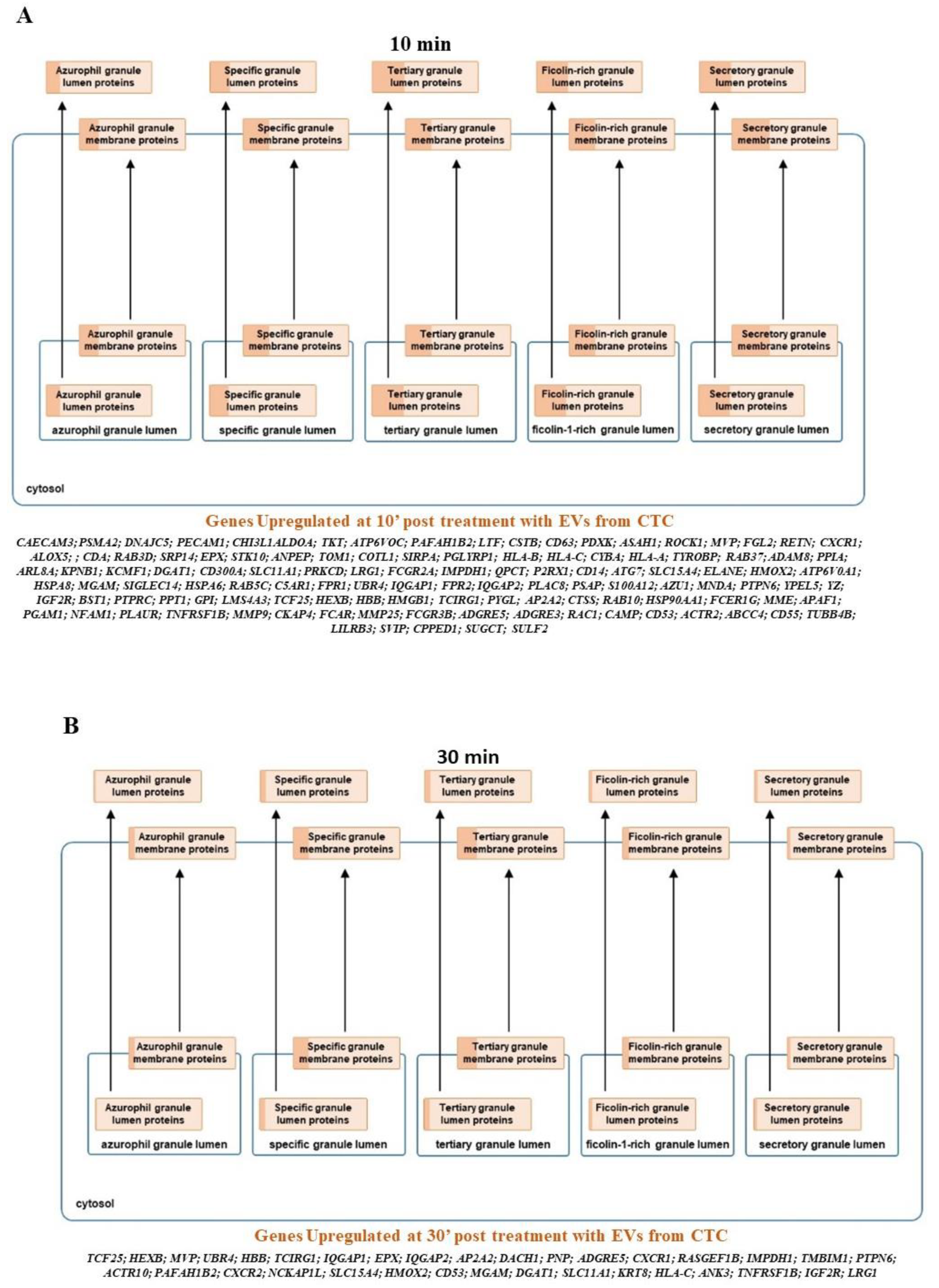 Cancers 13 02727 g004a Cancers 13 02727 g004a