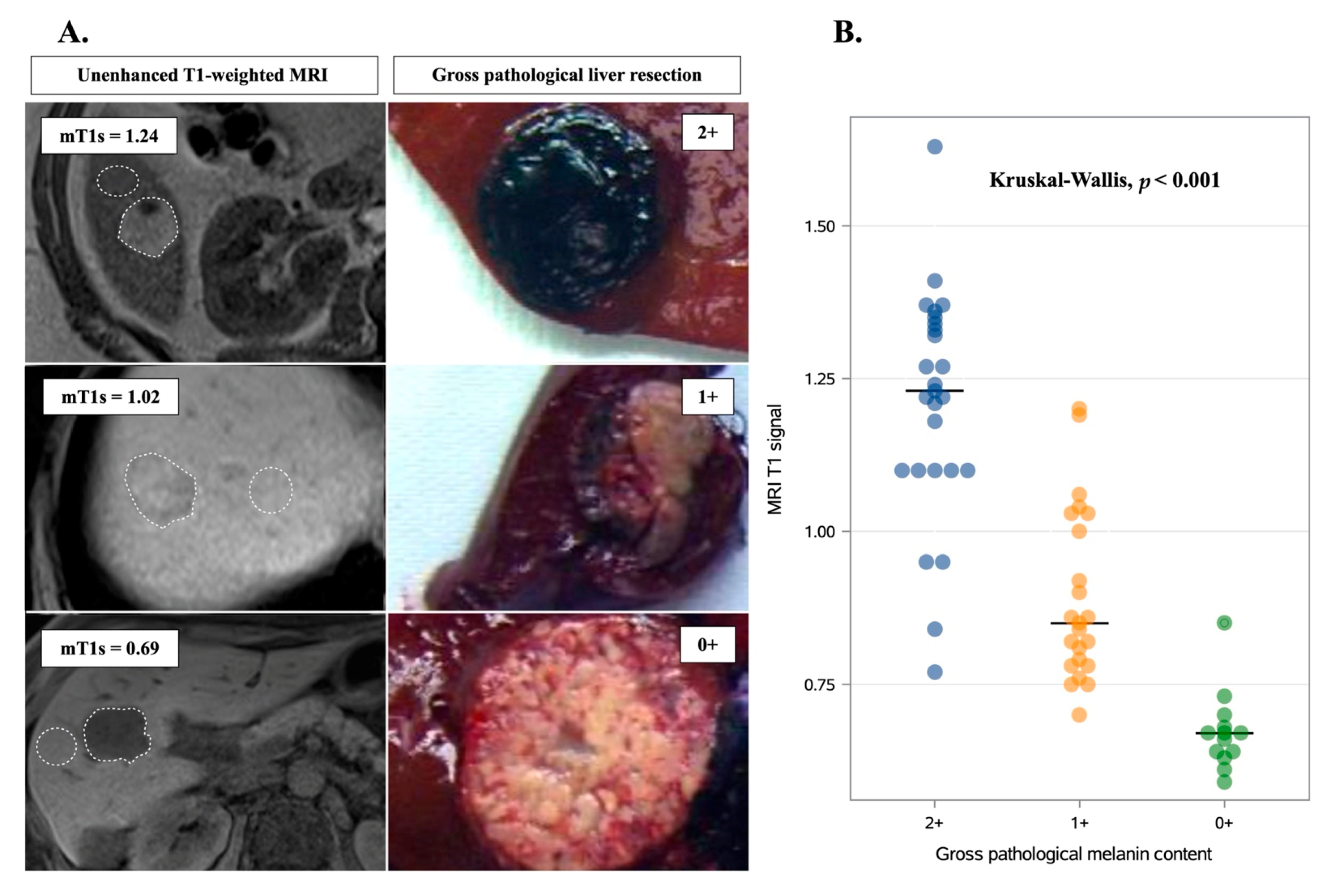Cancers 13 02728 g001