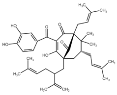 Cancers 13 02730 i009 Cancers 13 02730 i009