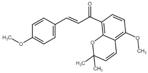 Cancers 13 02730 i015 Cancers 13 02730 i015