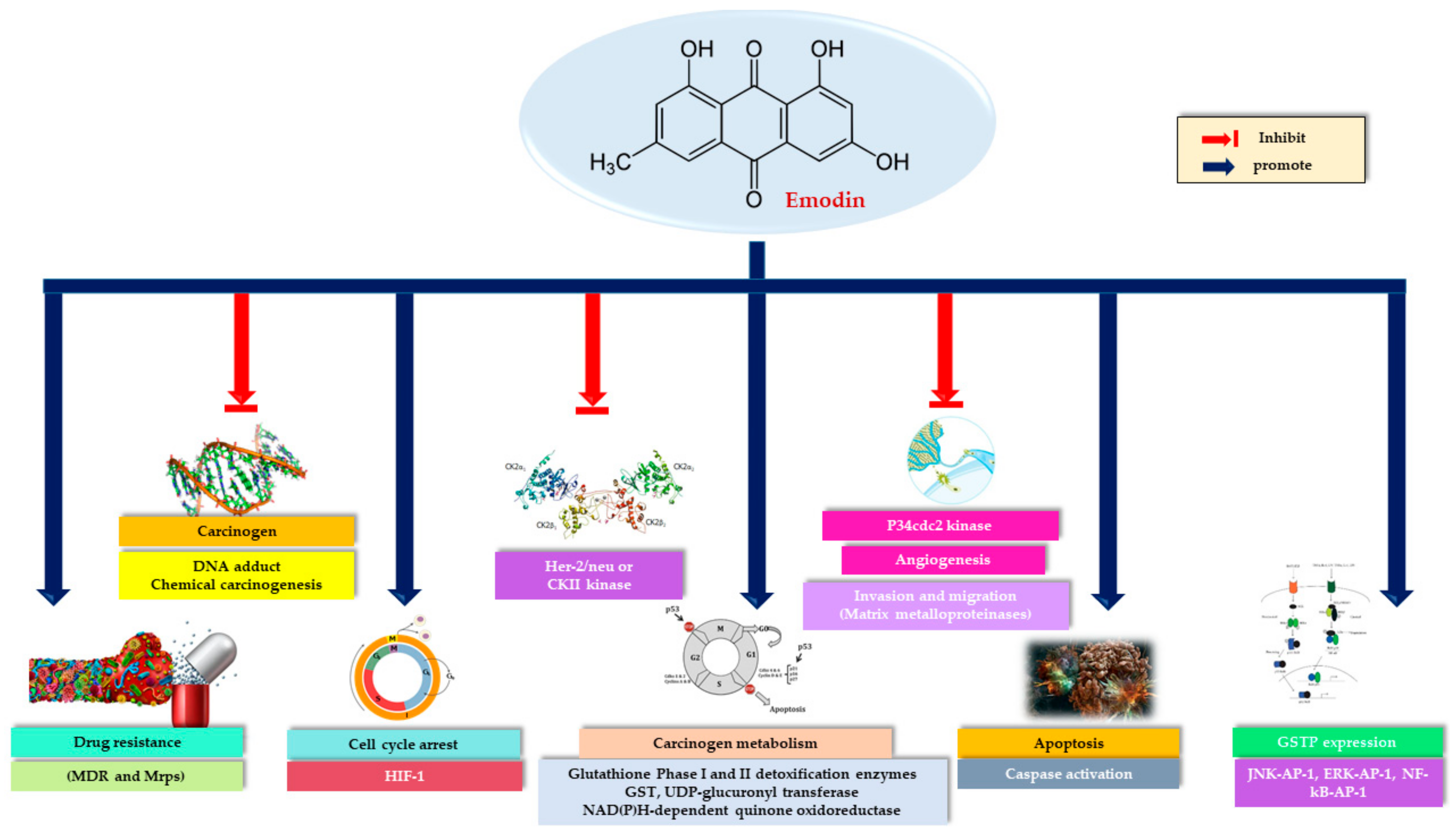 Cancers 13 02733 g001
