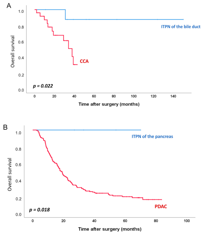 Cancers 13 02742 g002 Cancers 13 02742 g002