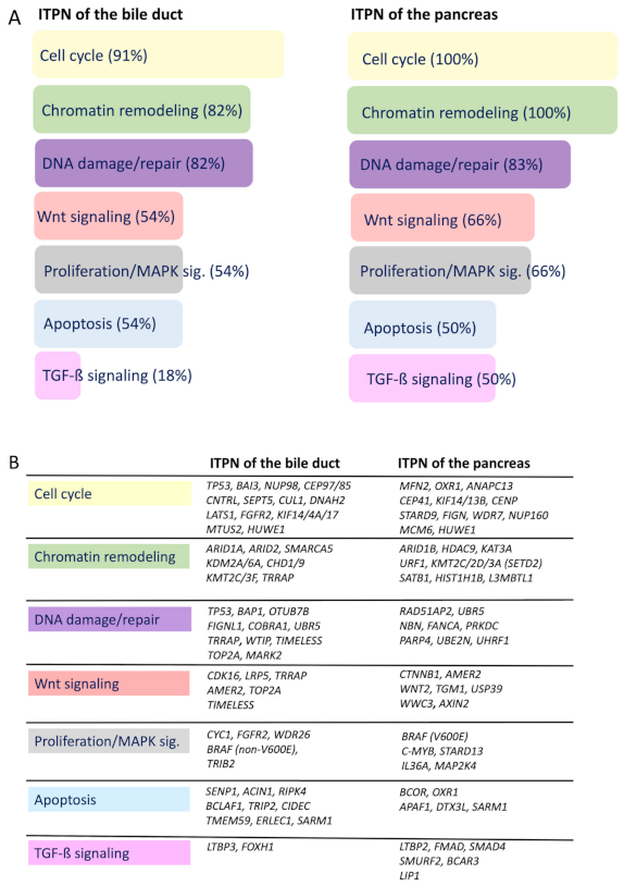 Cancers 13 02742 g005 Cancers 13 02742 g005