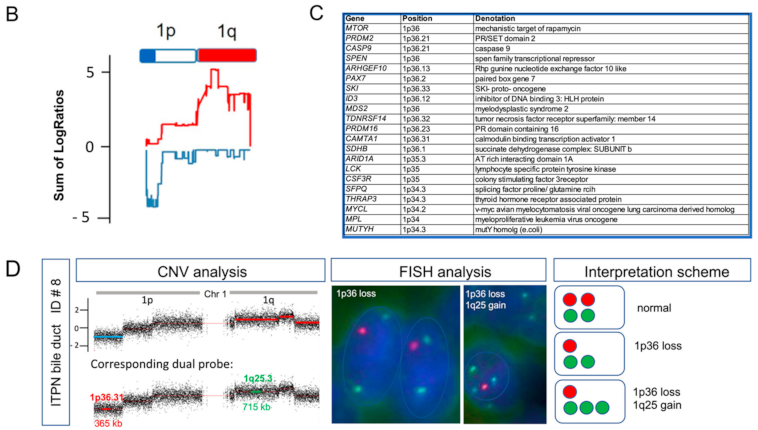 Cancers 13 02742 g006b Cancers 13 02742 g006b