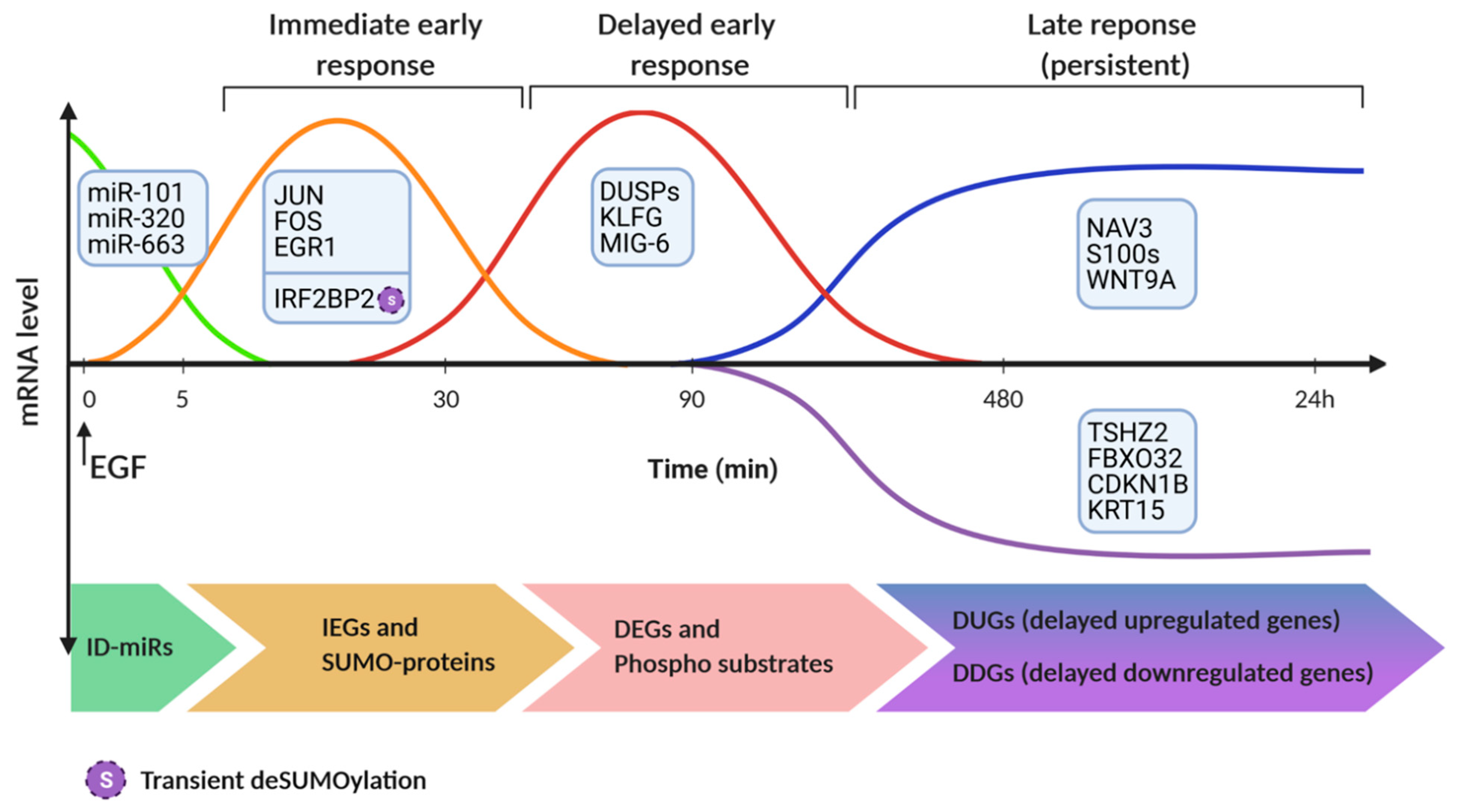 Cancers 13 02748 g003