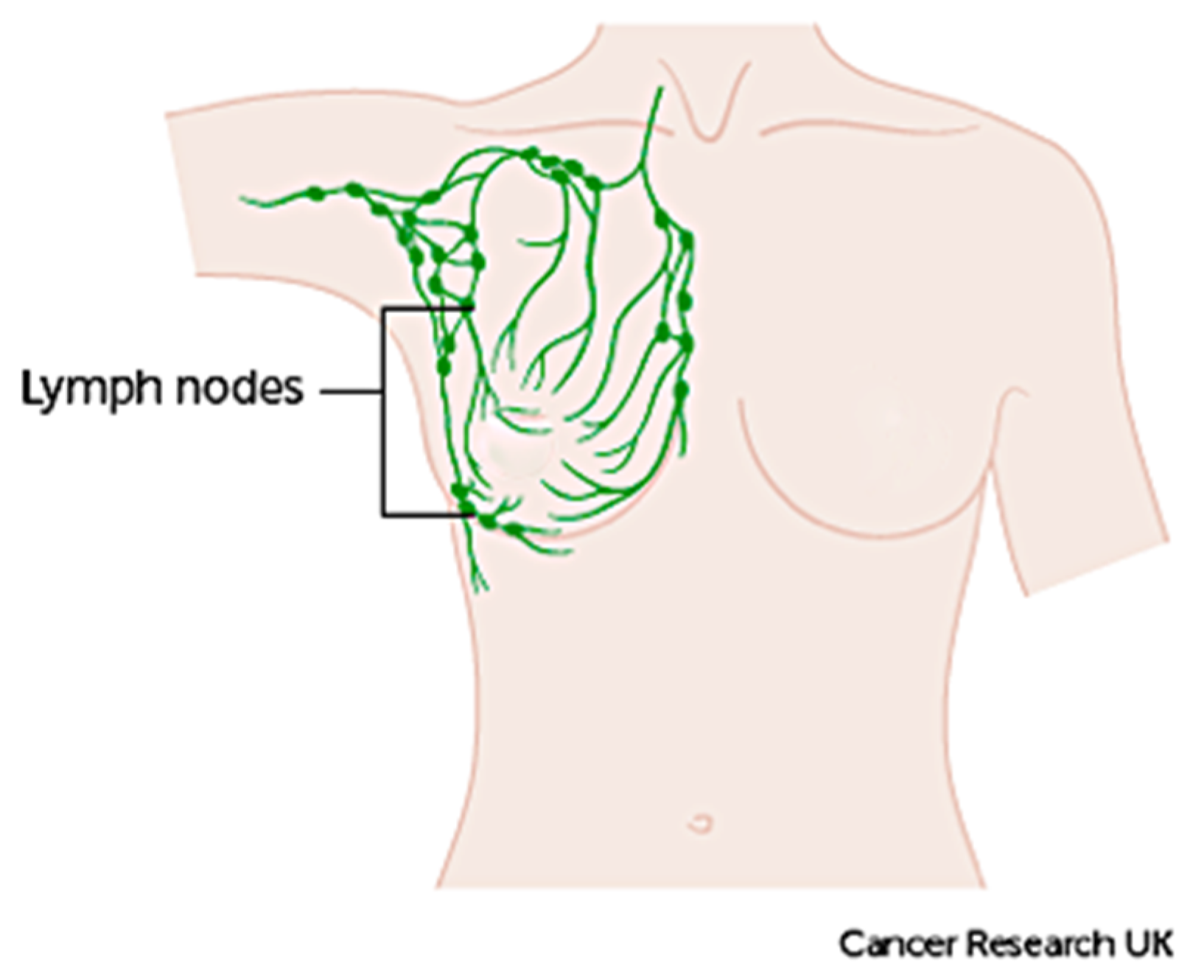 Cancers 13 02764 g004