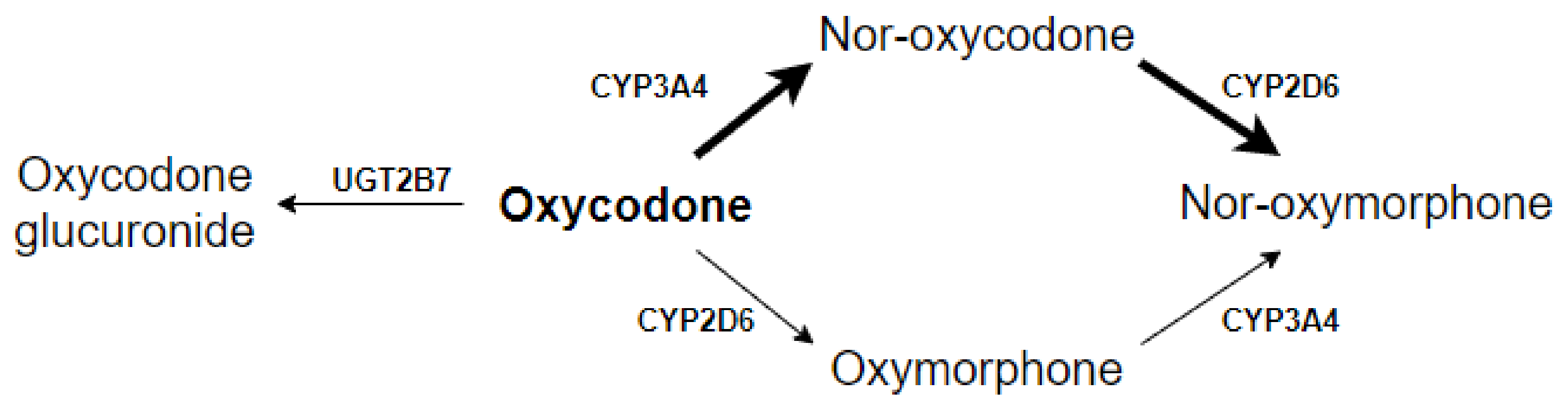 Cancers 13 02768 g001