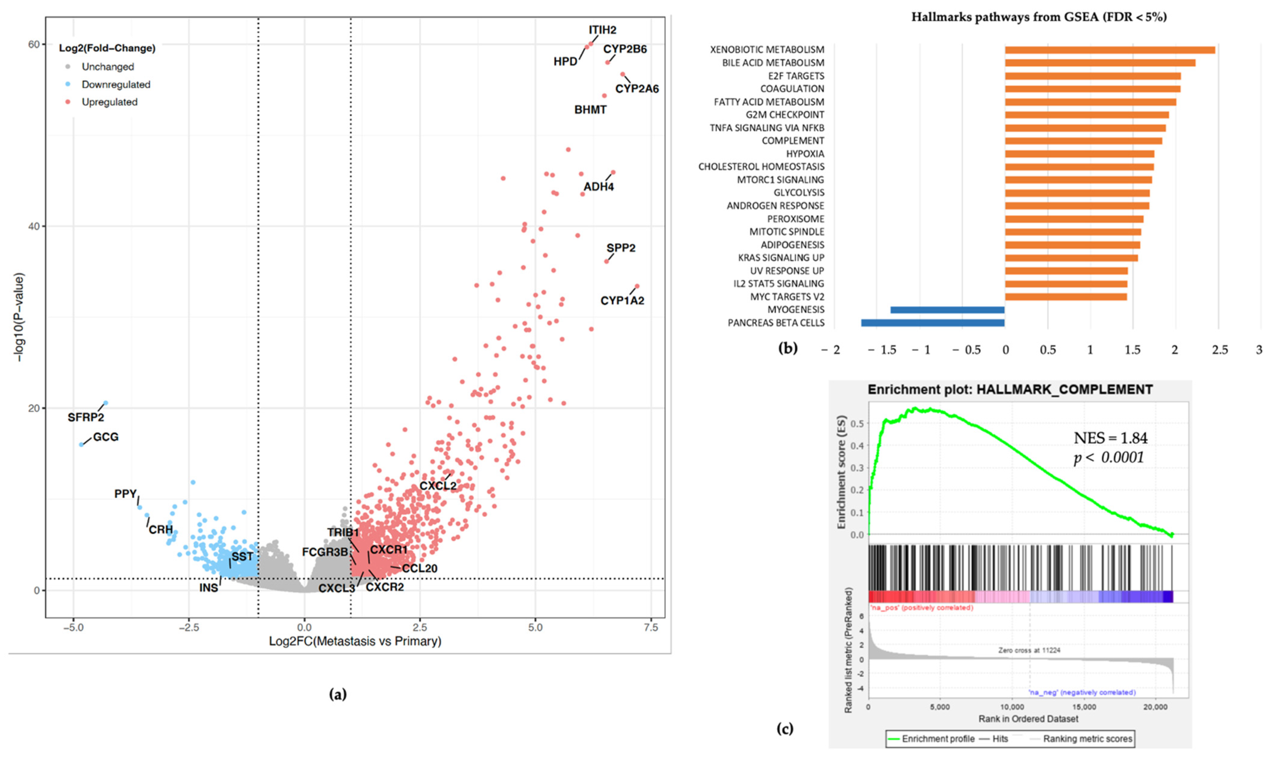 Cancers 13 02771 g004 Cancers 13 02771 g004