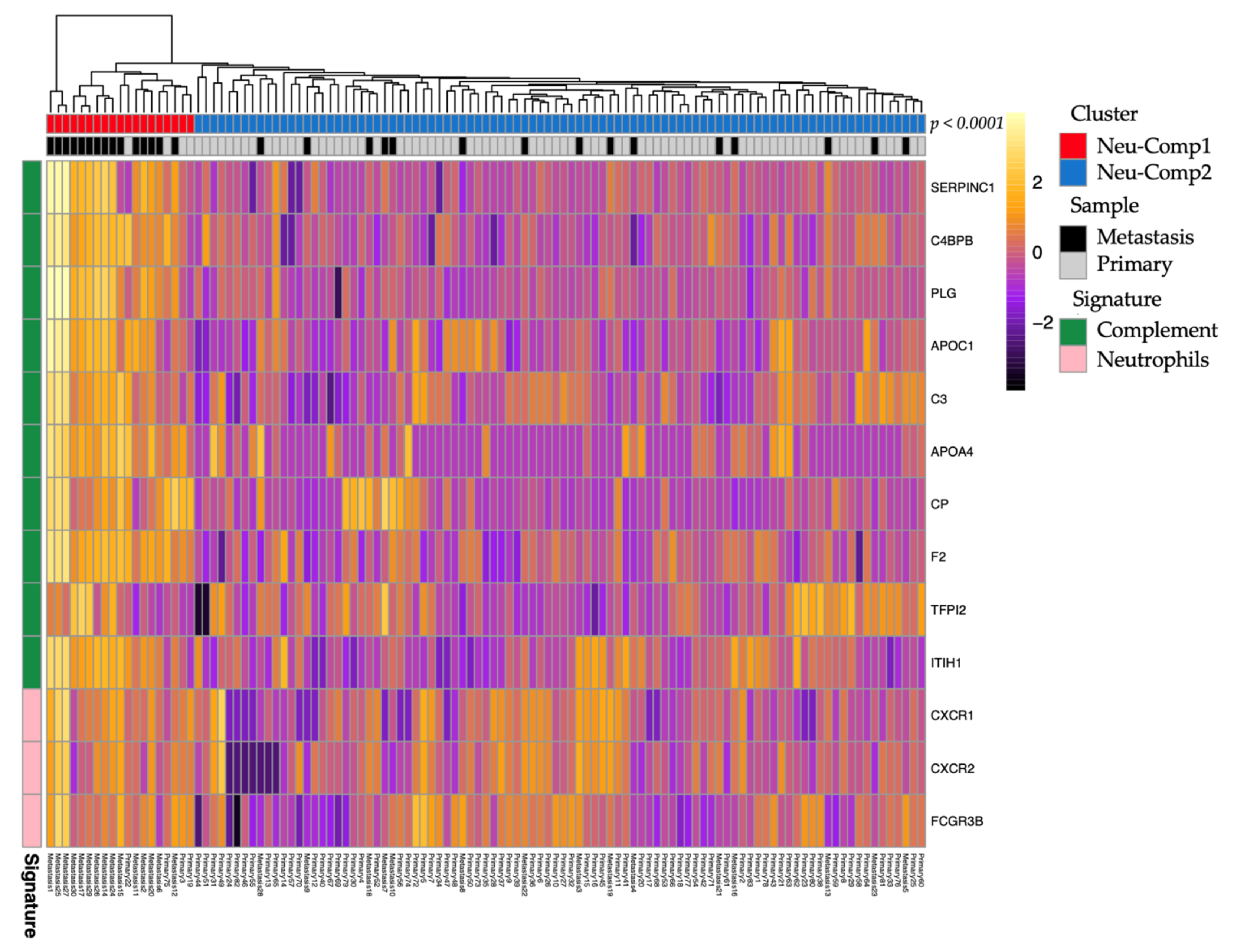 Cancers 13 02771 g005 Cancers 13 02771 g005