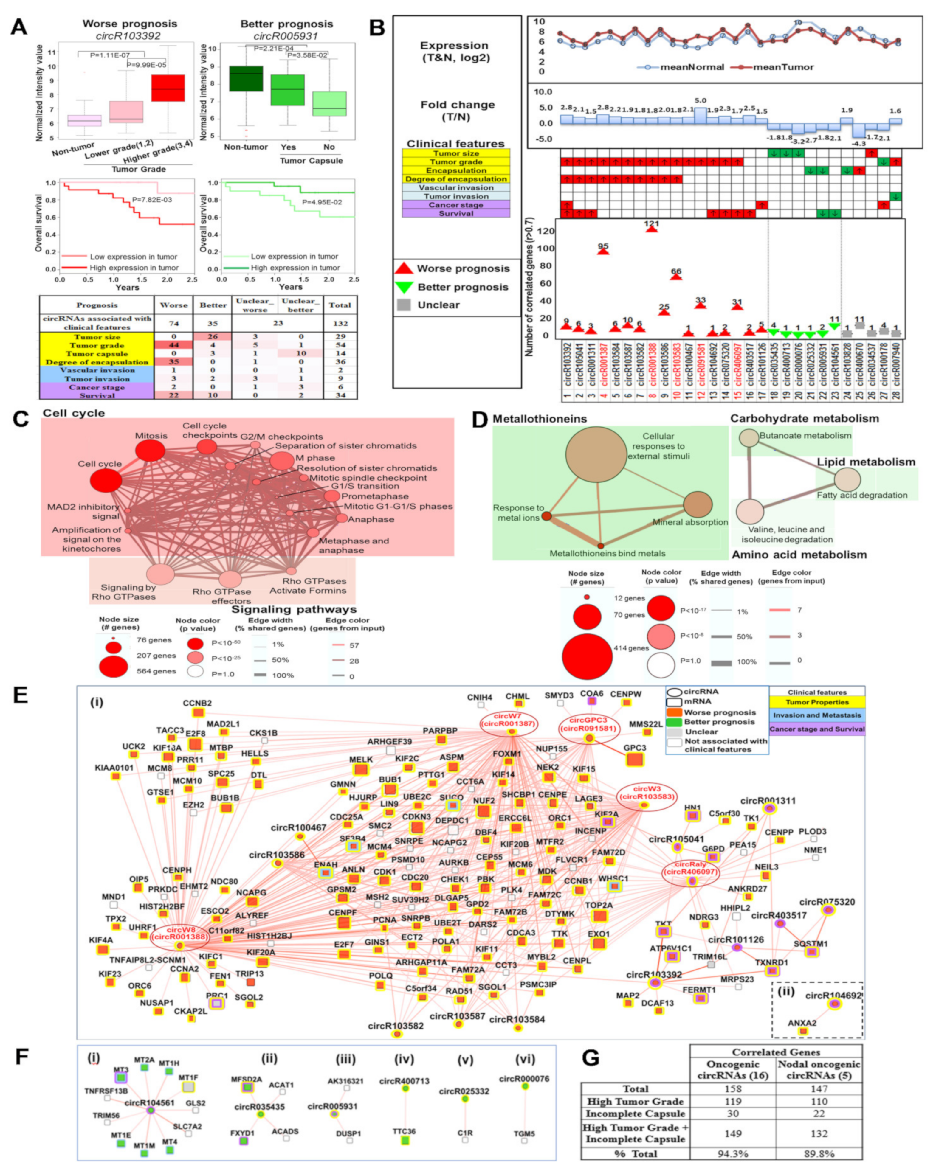 Cancers 13 02772 g002