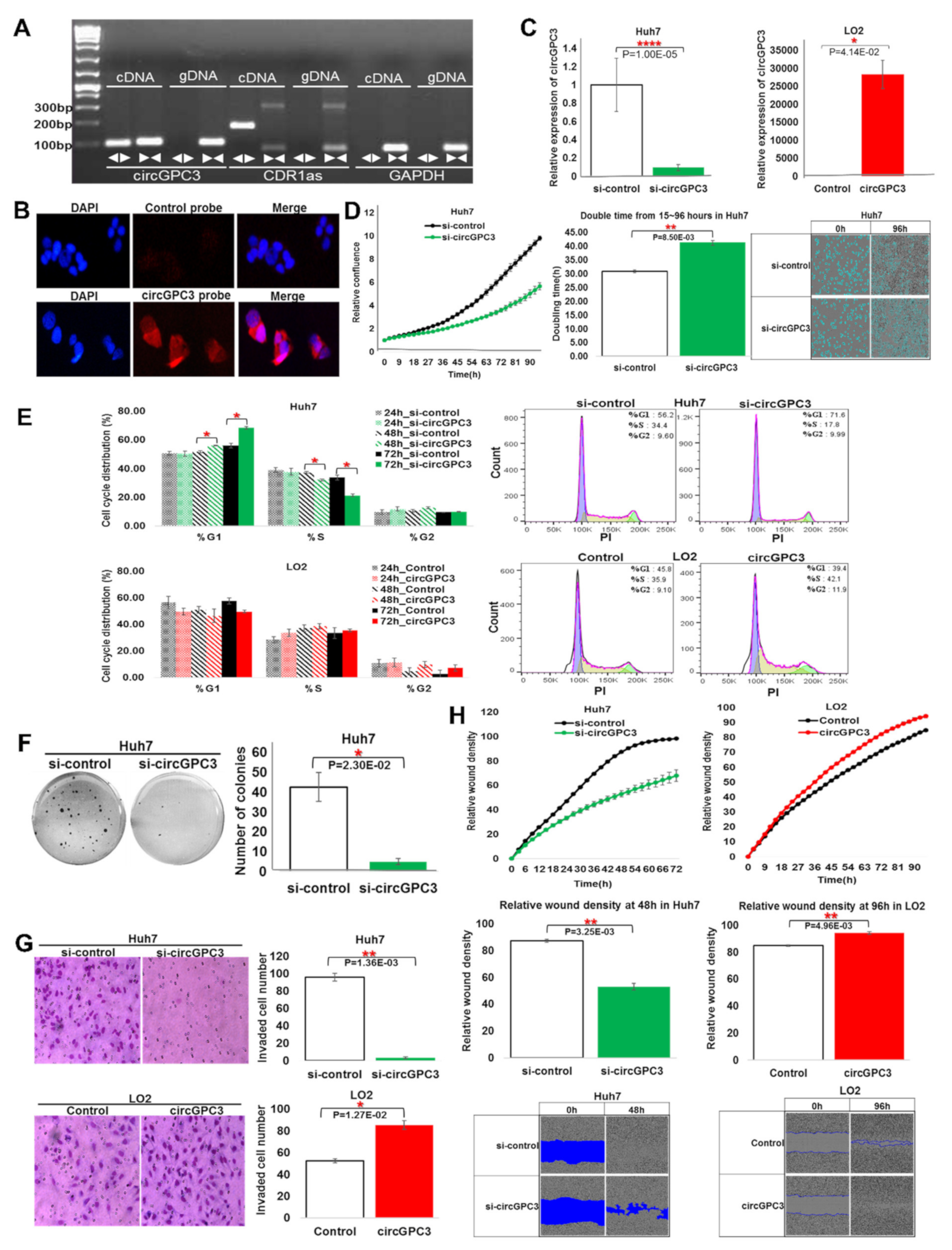 Cancers 13 02772 g005