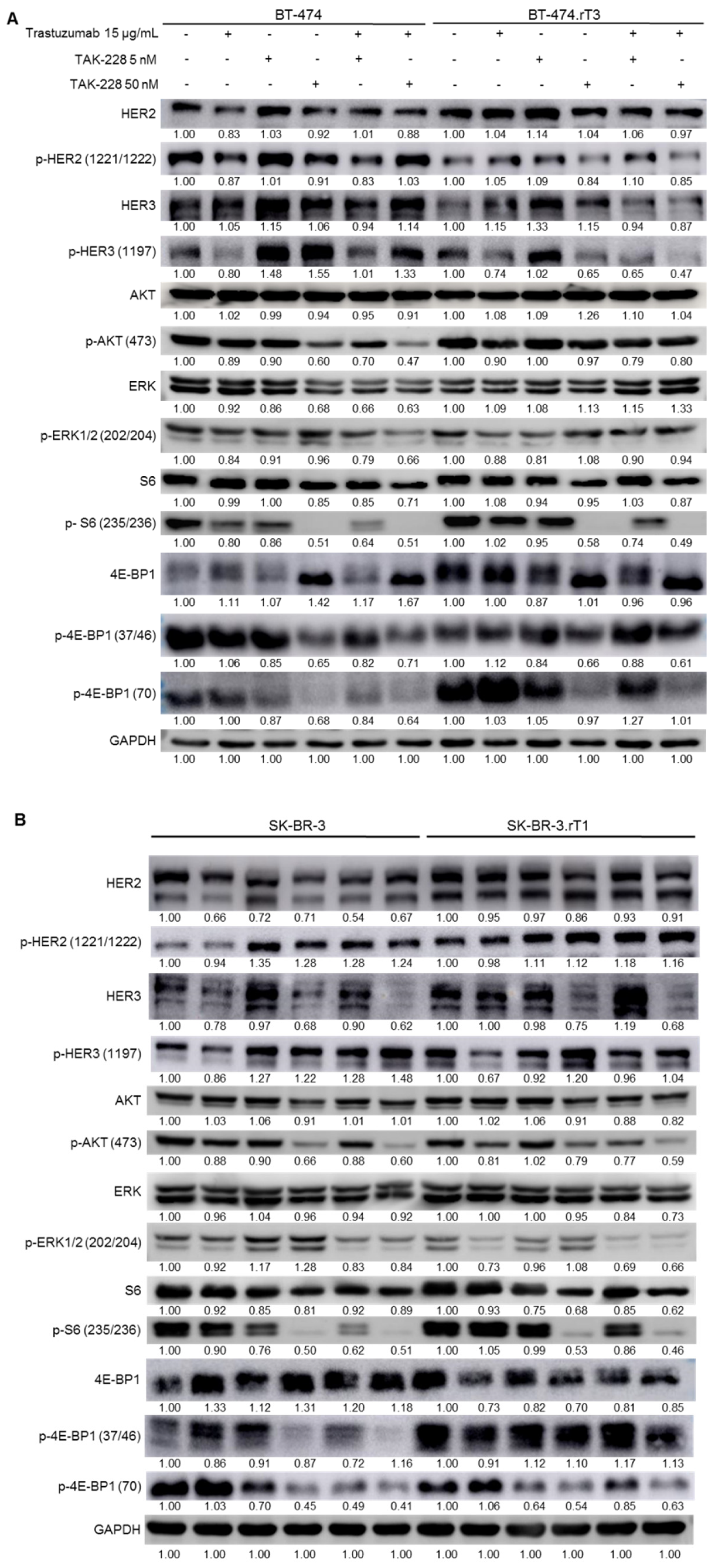 Cancers 13 02778 g005a