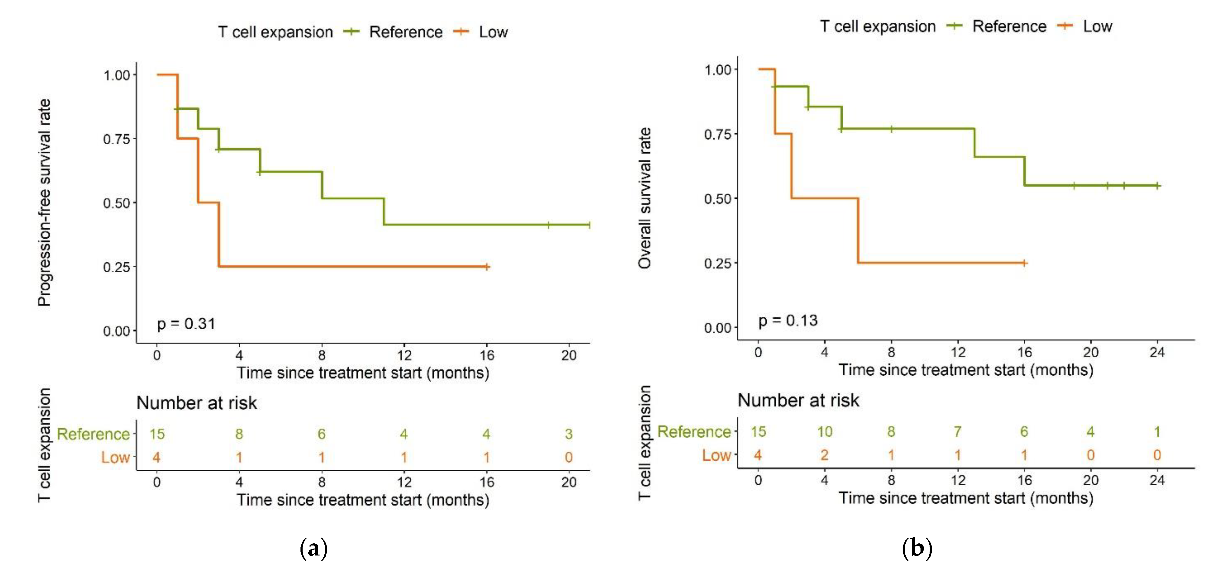 Cancers 13 02782 g006 Cancers 13 02782 g006