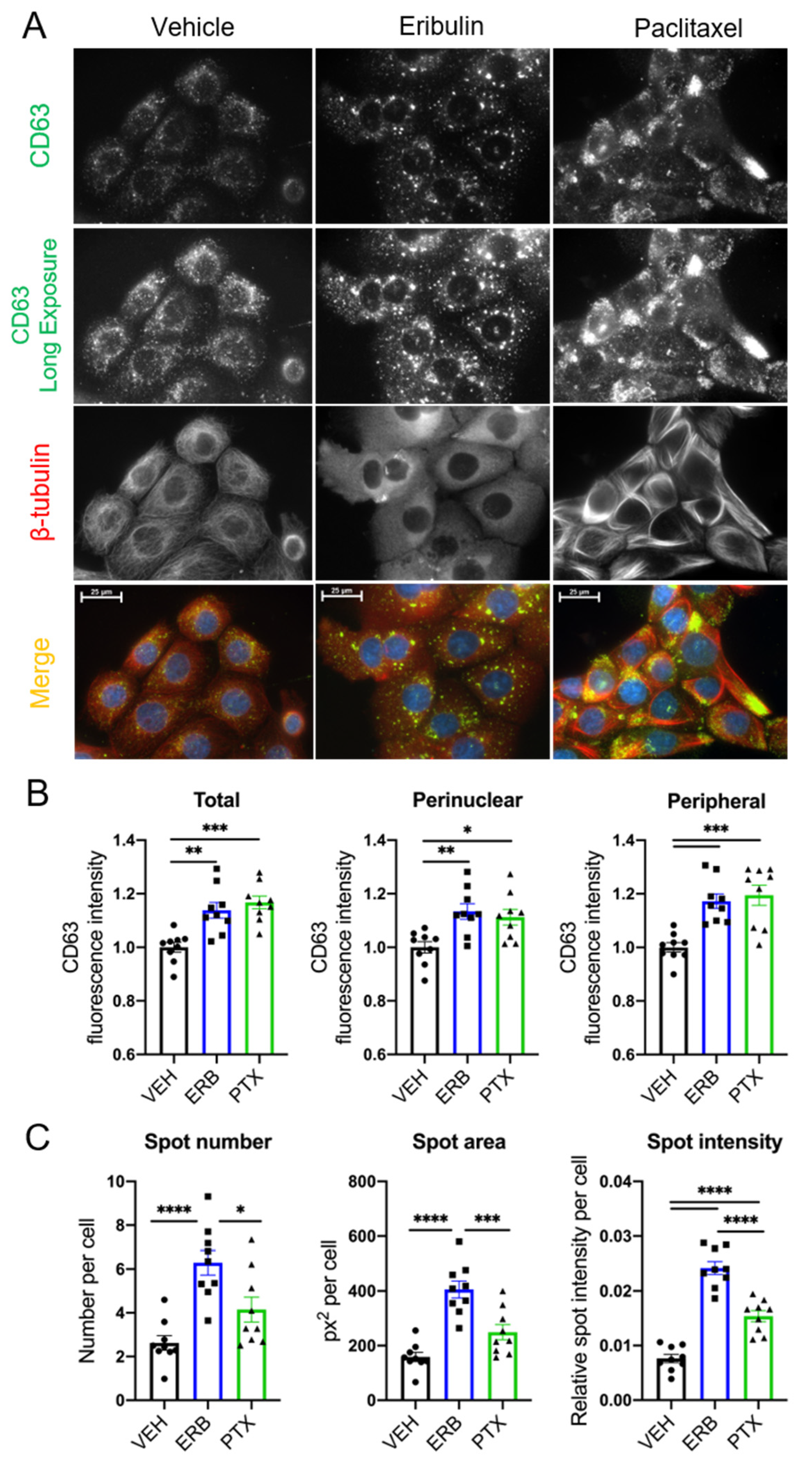 Cancers 13 02783 g001