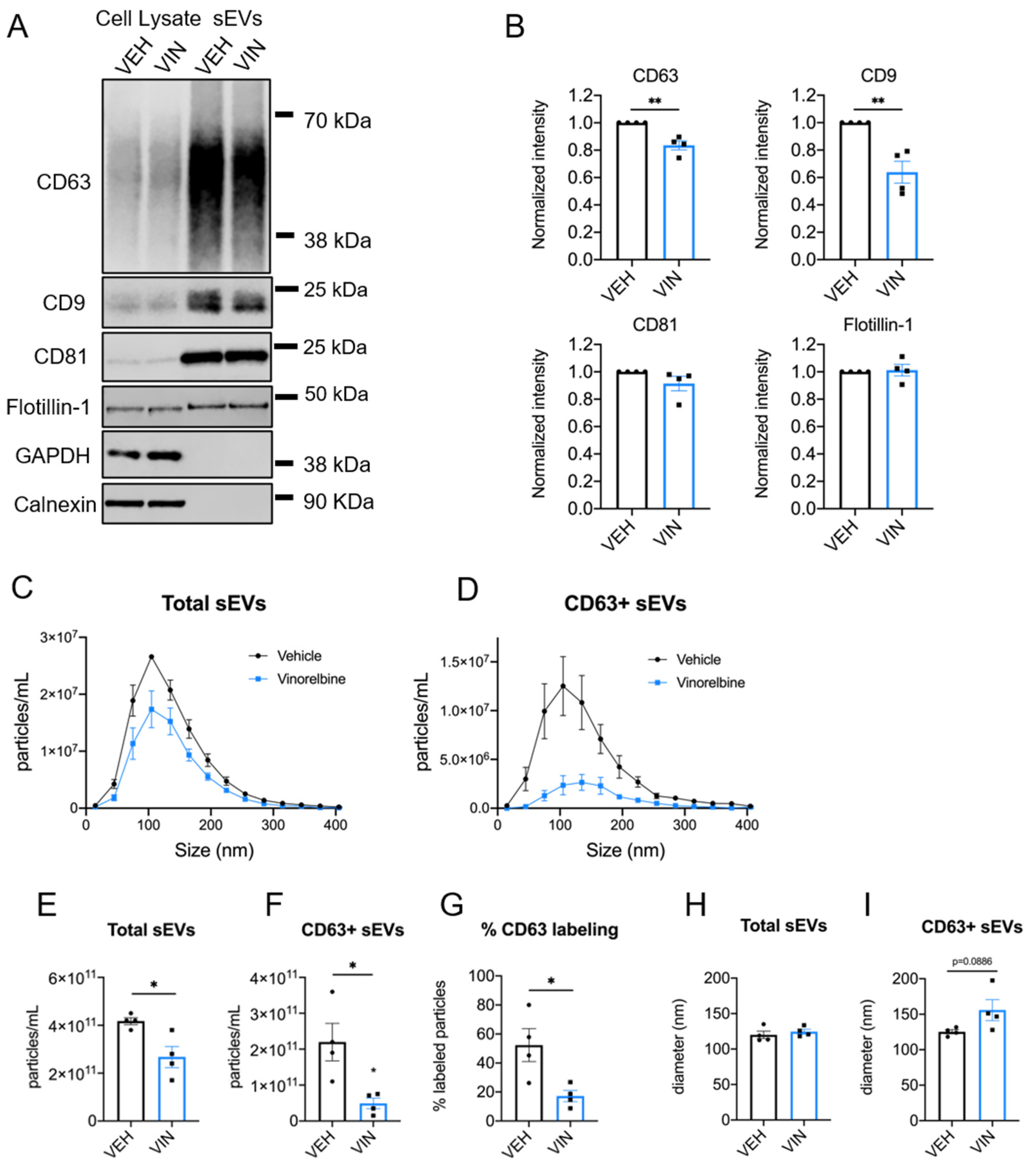 Cancers 13 02783 g005