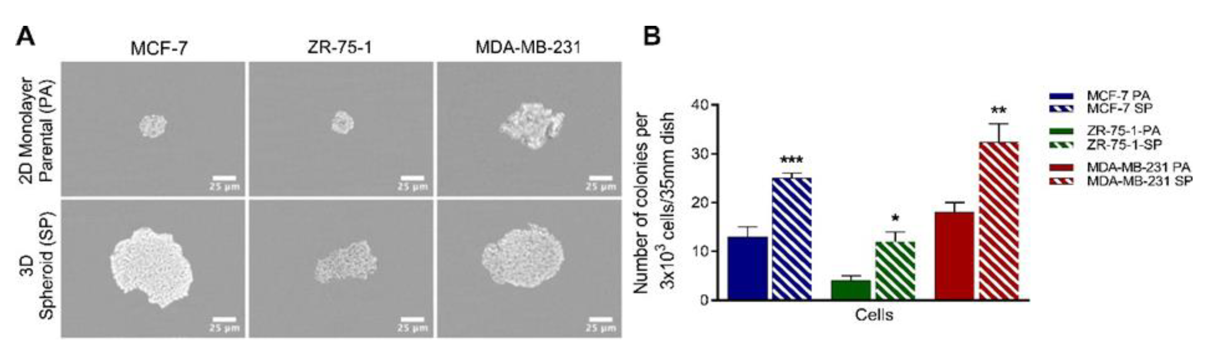 Cancers 13 02784 g002