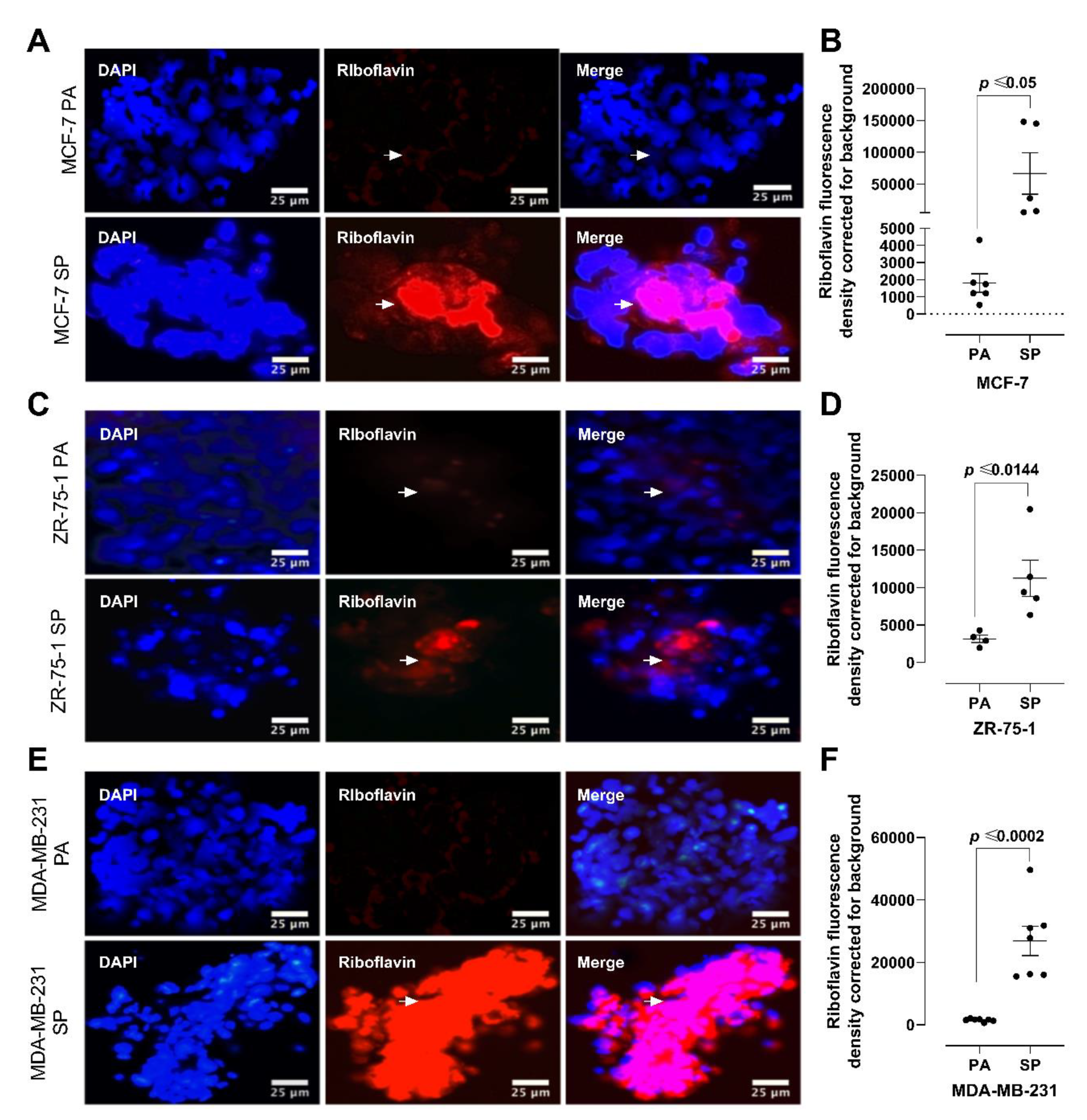 Cancers 13 02784 g003