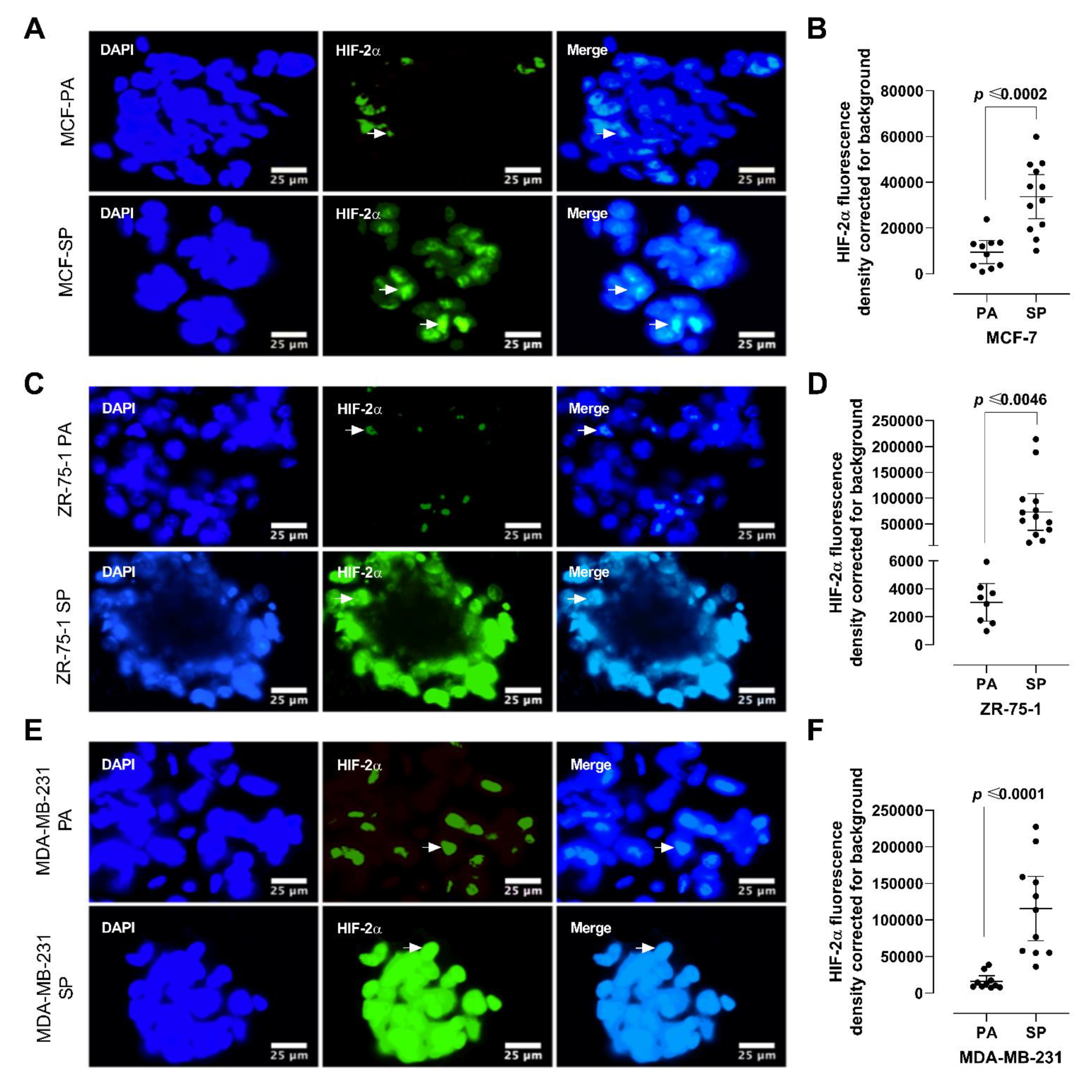Cancers 13 02784 g004