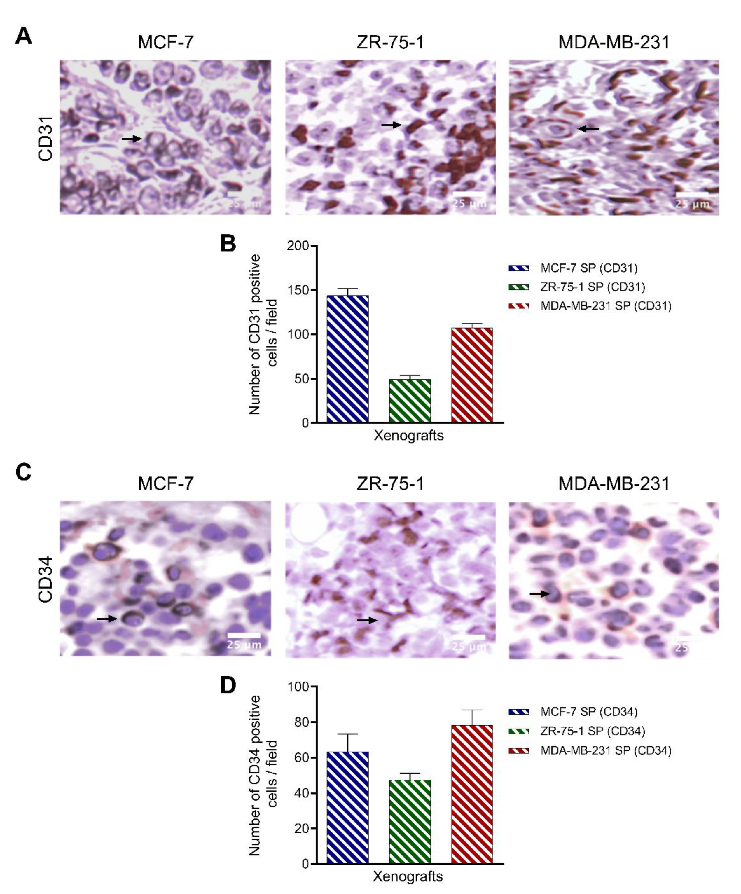 Cancers 13 02784 g012
