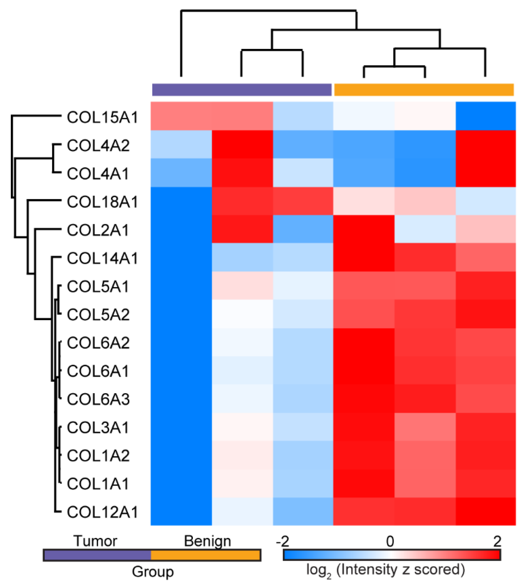 Cancers 13 02794 g001