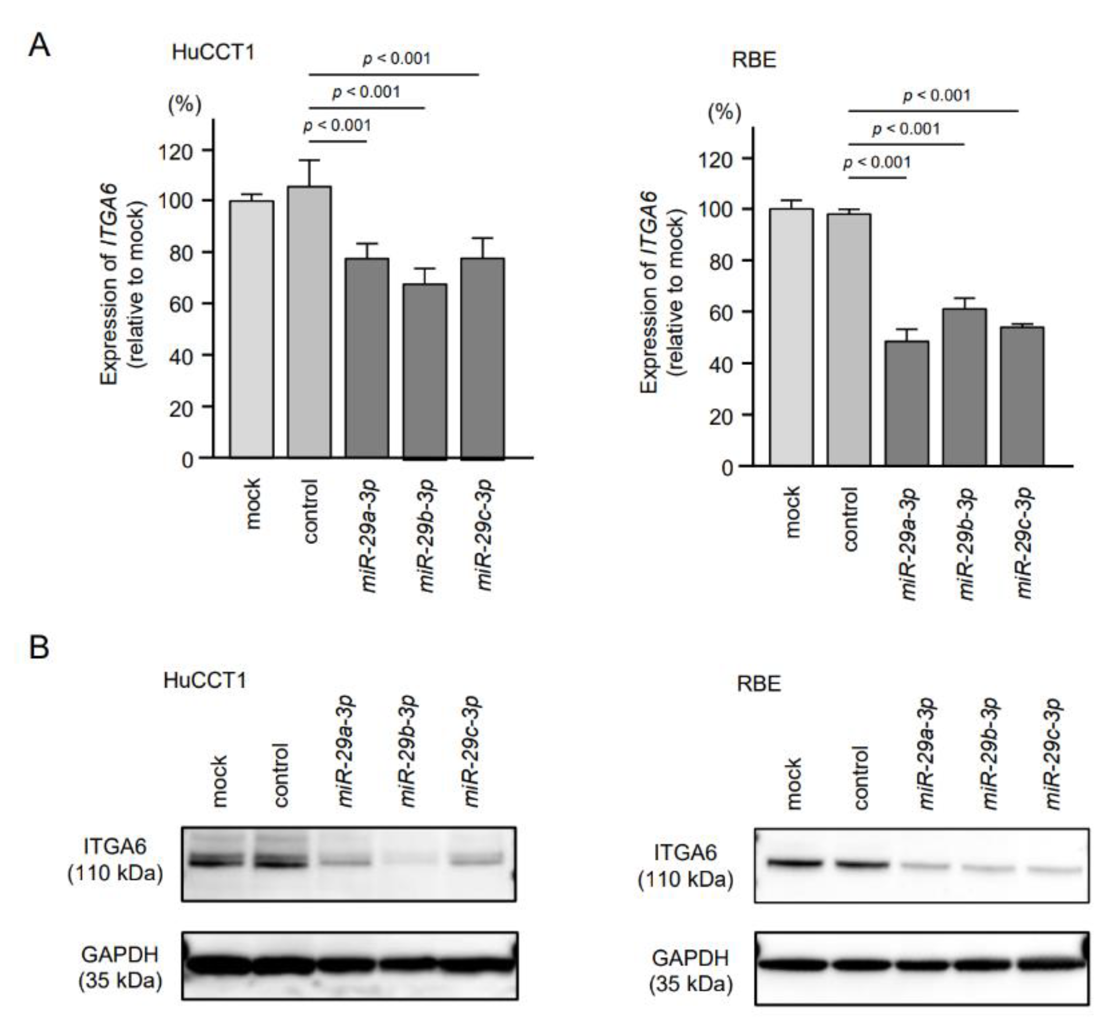 Cancers 13 02804 g005 Cancers 13 02804 g005